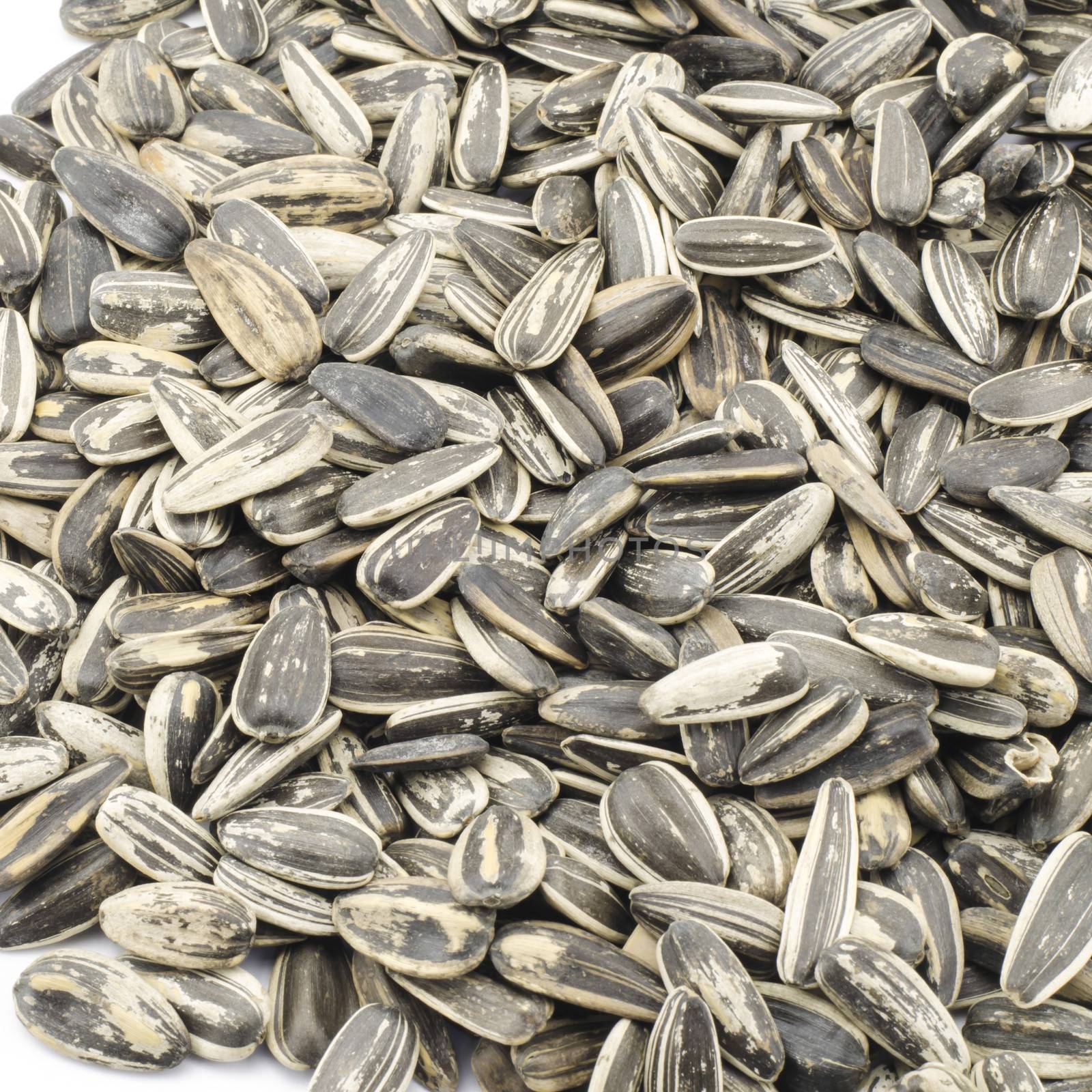 sunflower seeds isolated on white background