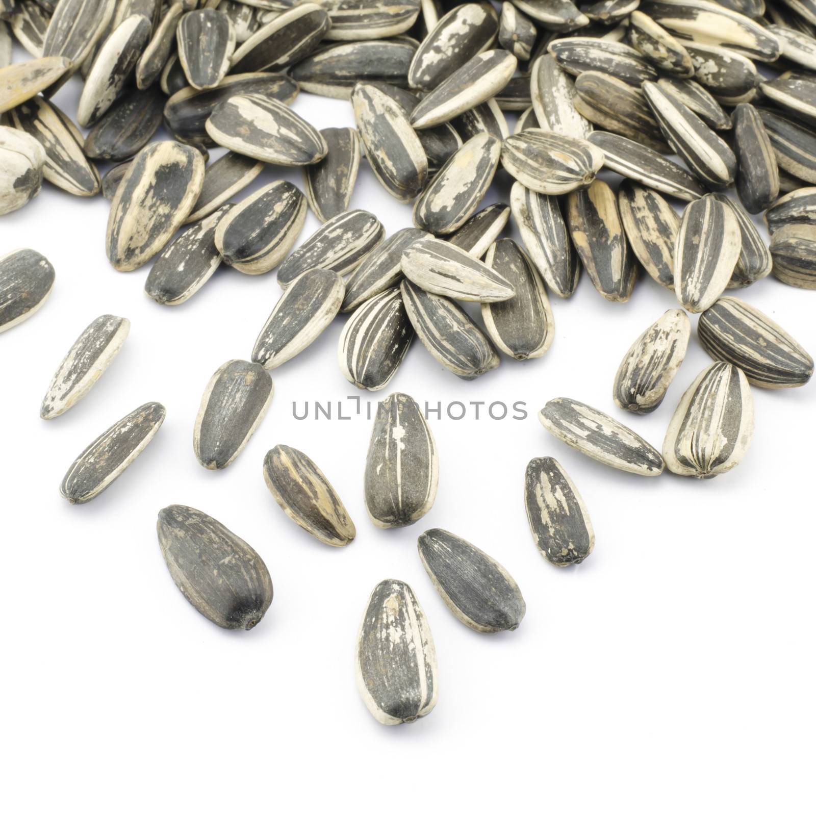 sunflower seeds isolated on white background