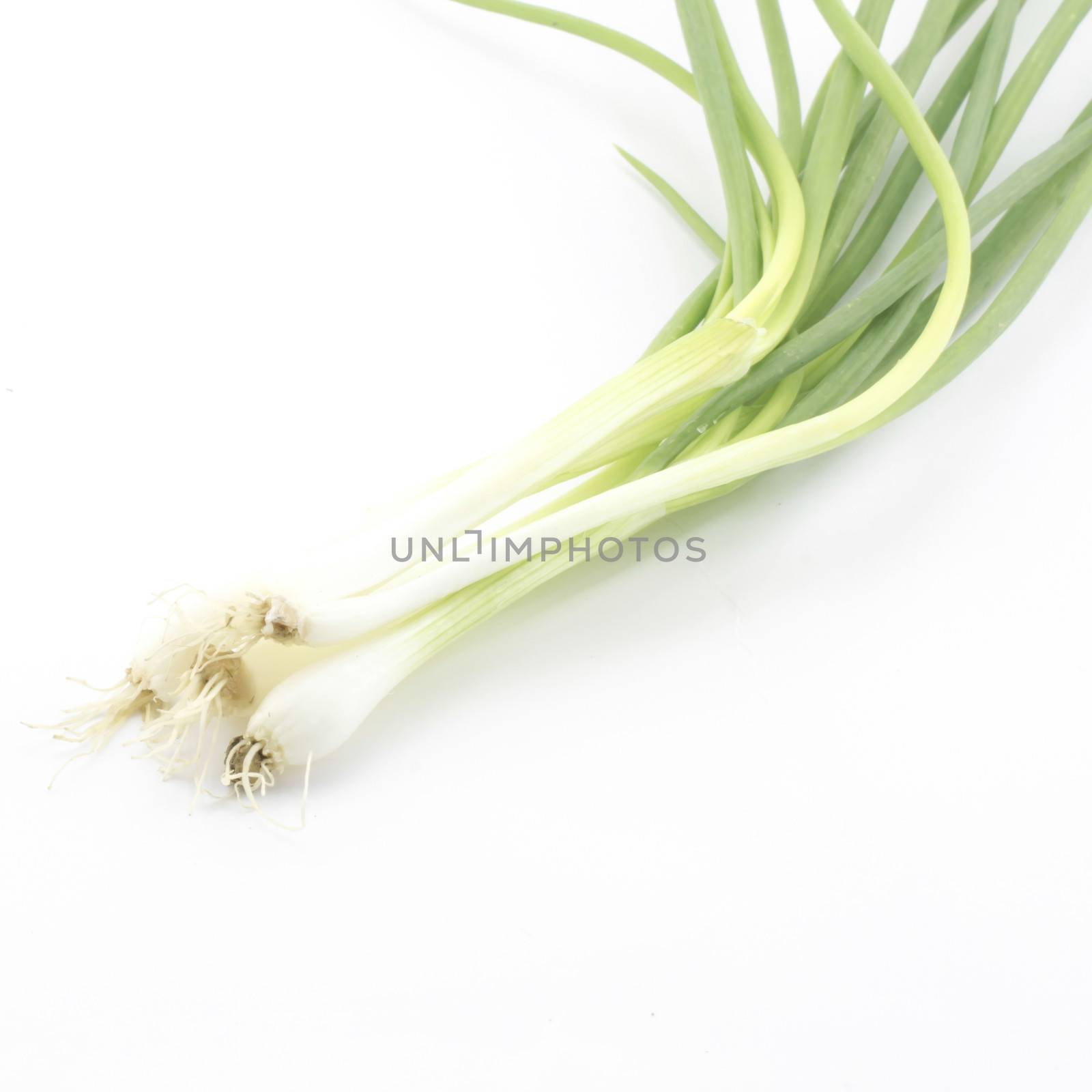 spring onion isolated on white background