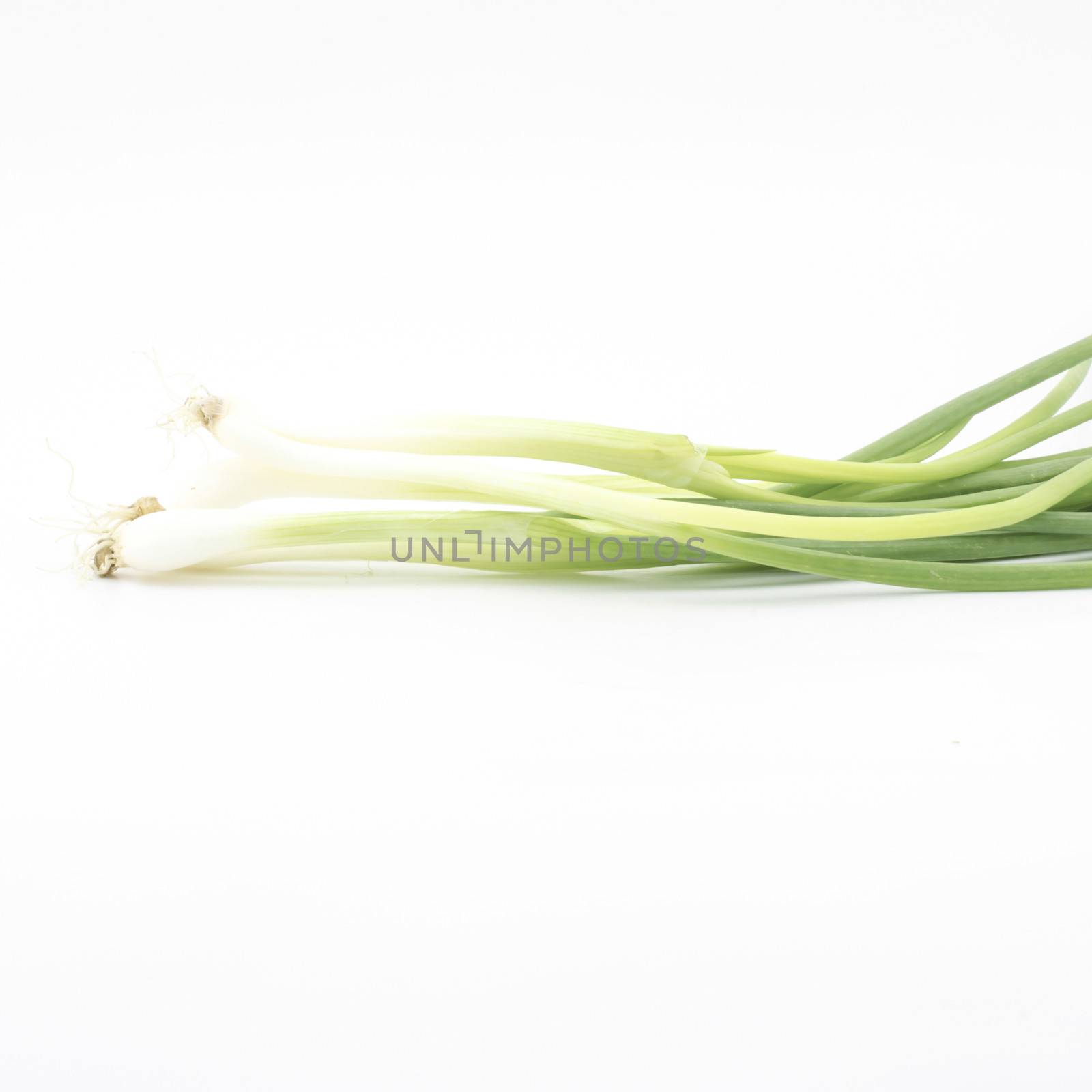 spring onion isolated on white background