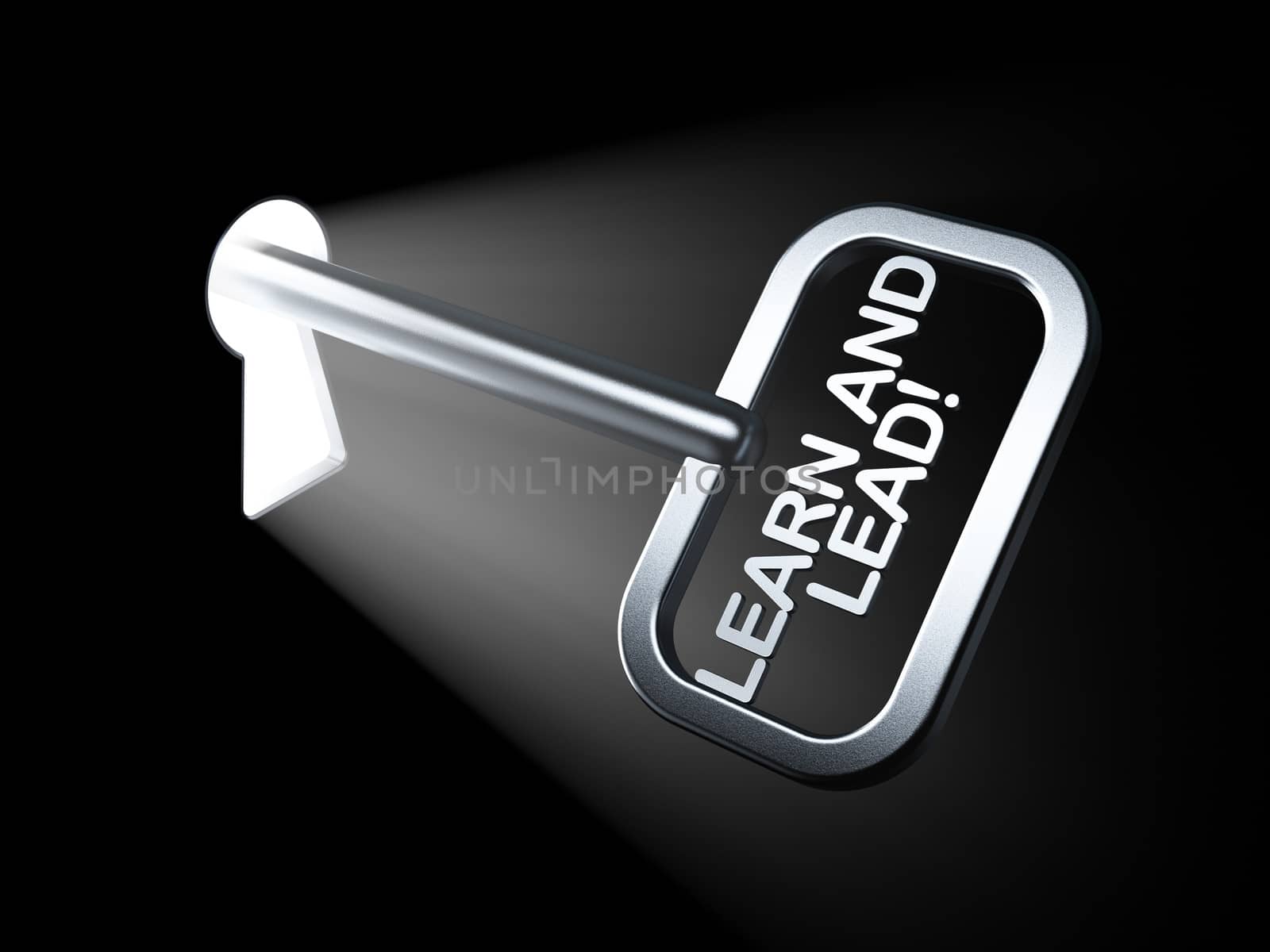 Education concept: Learn and Lead! on key in keyhole, 3d render