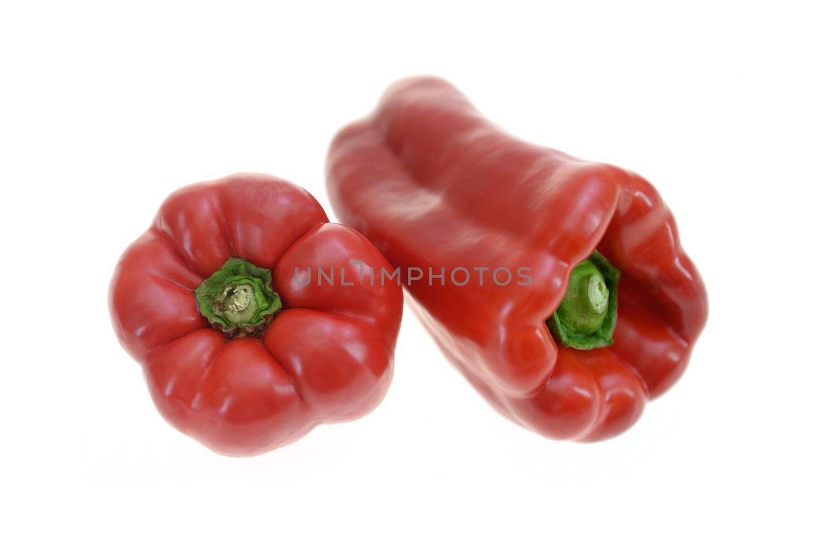 Capsicum by Kitch