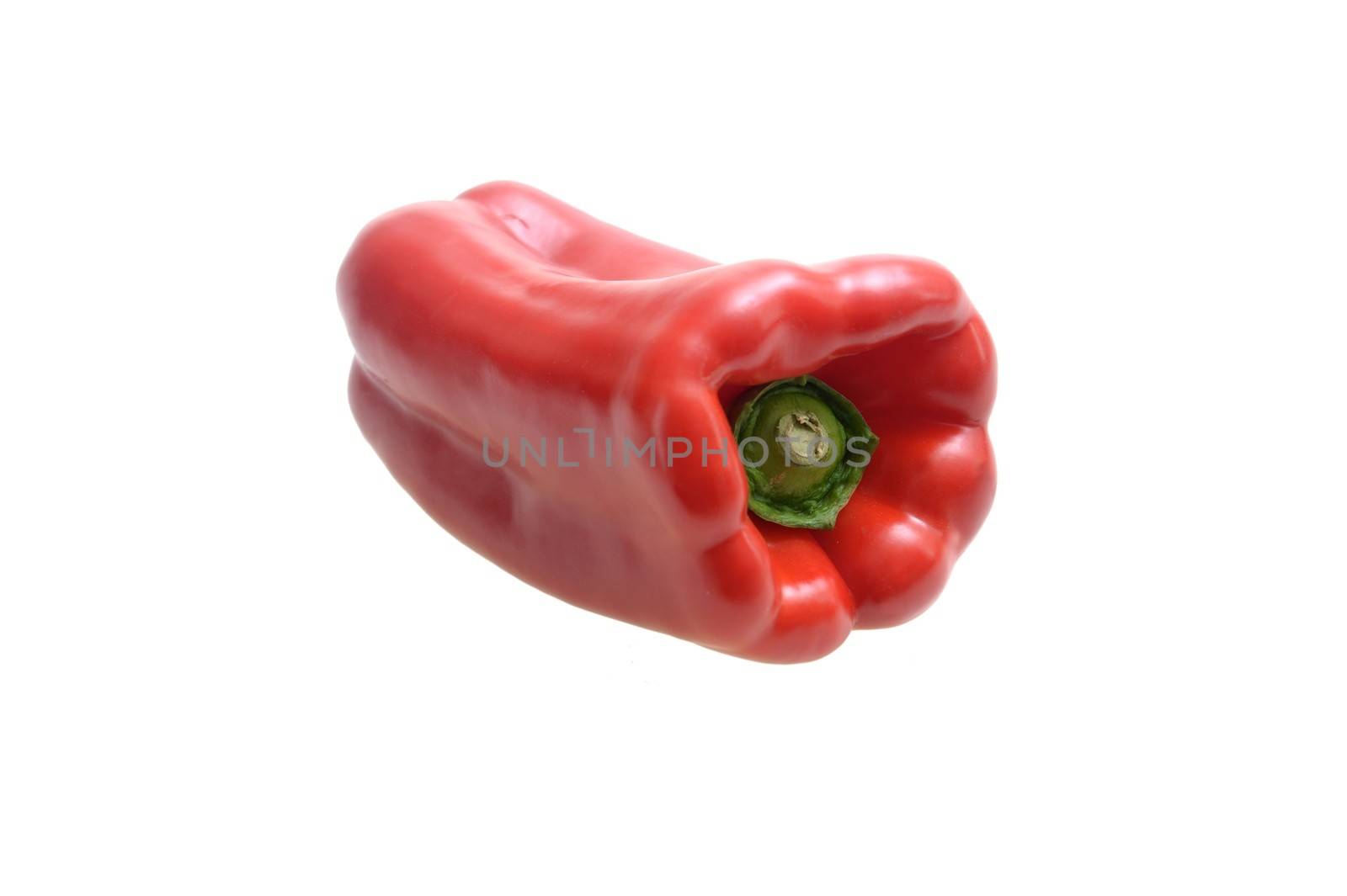 Capsicum by Kitch