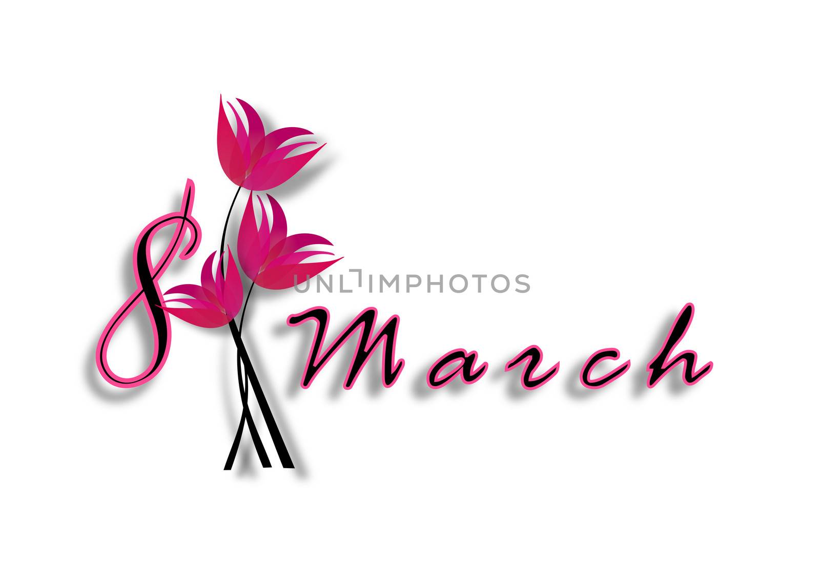 International Women's Day on March 8th with pink flowers isolated on a white background.