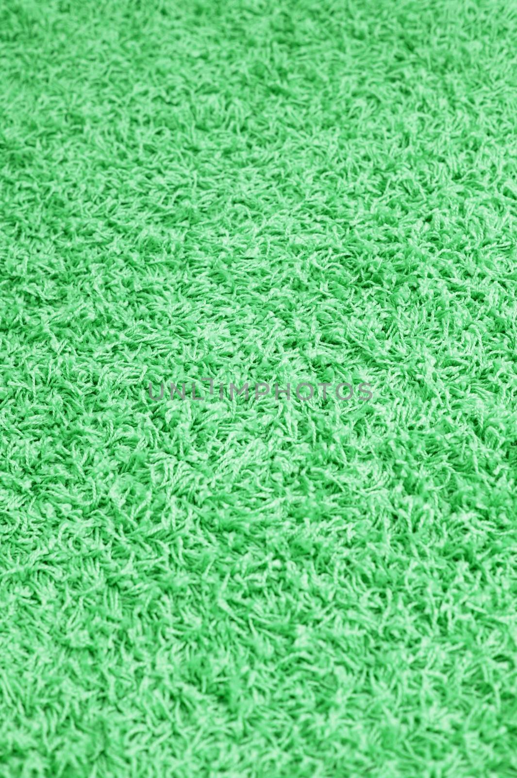 A close up shot of natural carpet