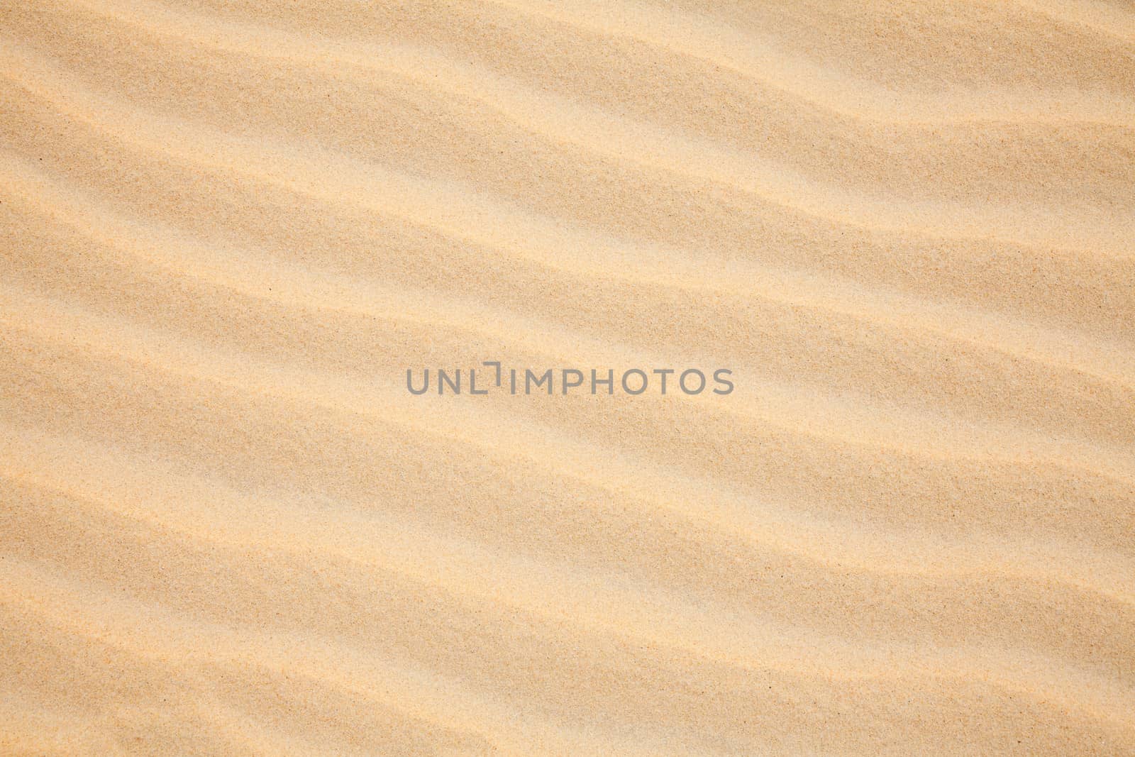 Sand dune ripples close up