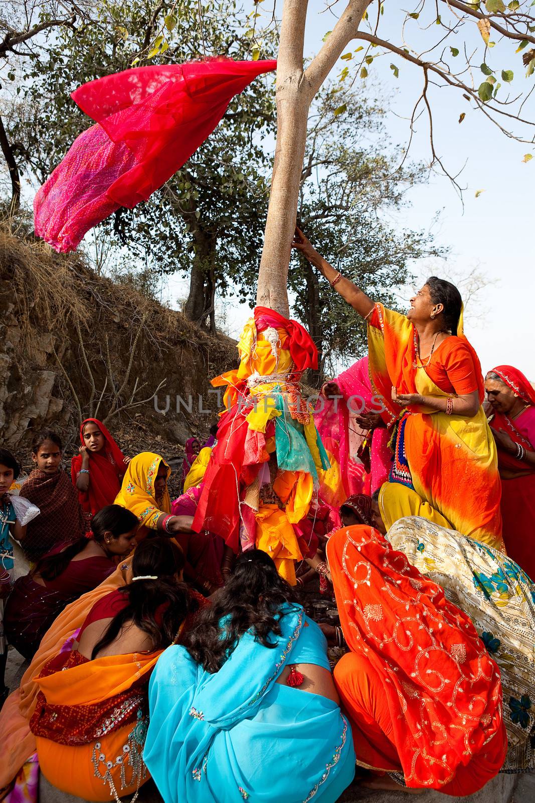 Gangaur Festival at Rajasthan India by PIXSTILL
