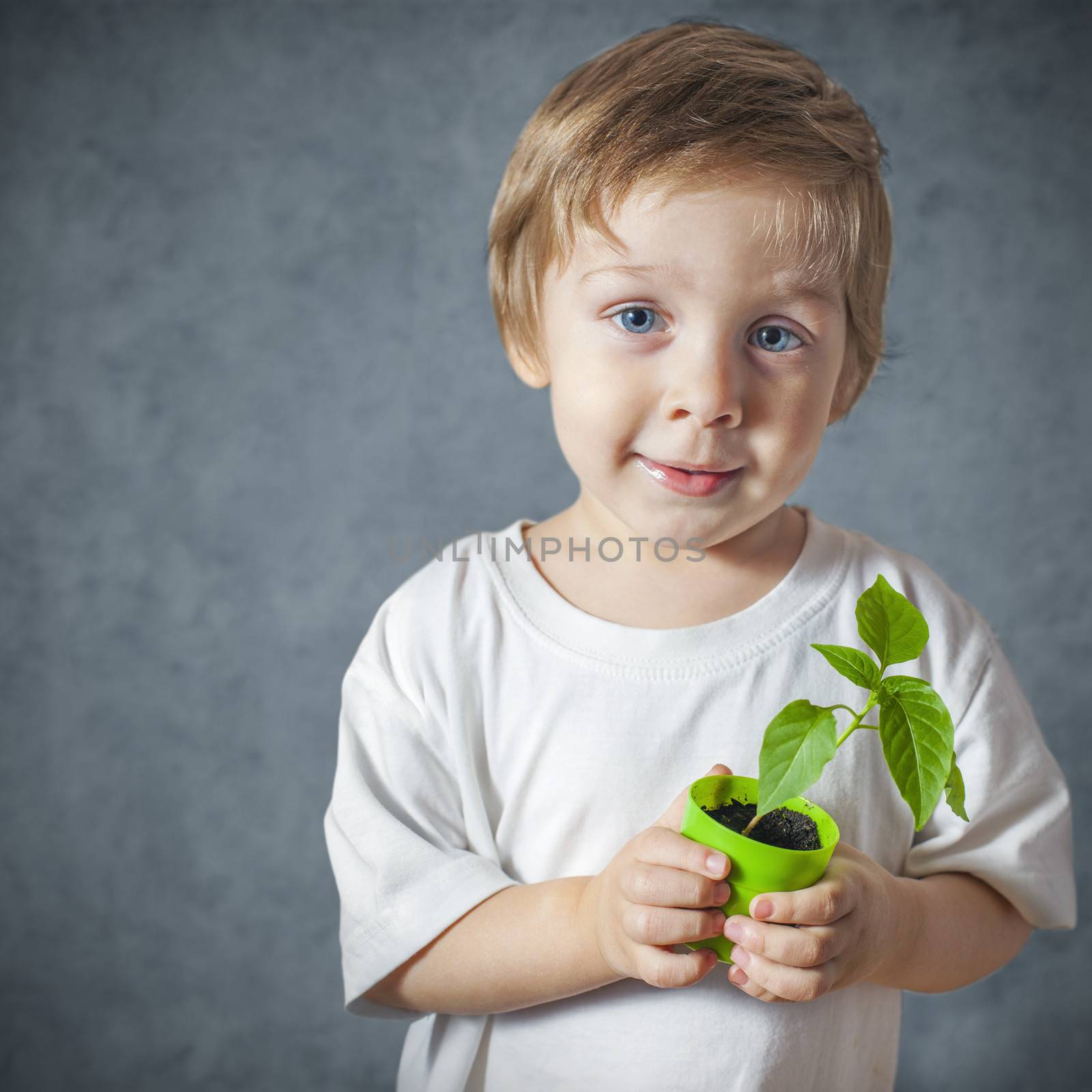 Portrait of funny little boy with window plants by anelina