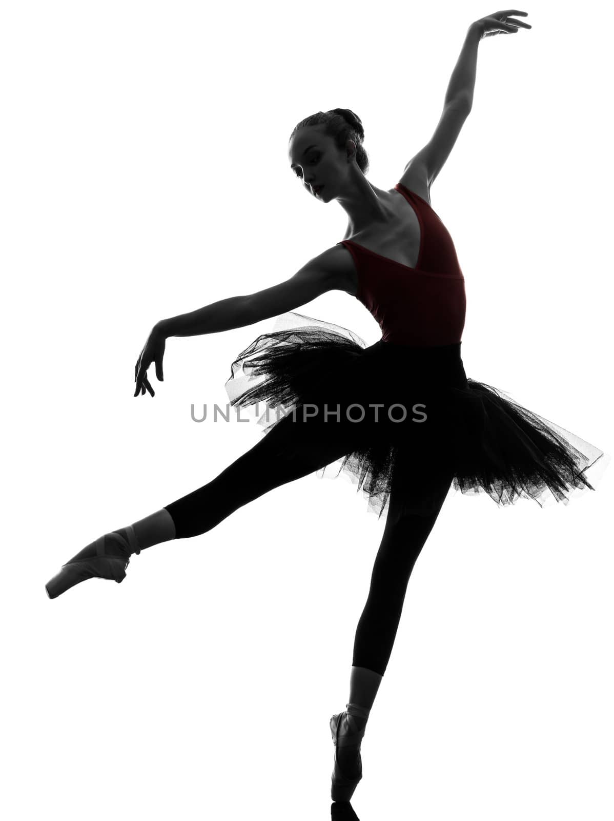 one caucasian young woman ballerina ballet dancer dancing with tutu in silhouette studio on white background