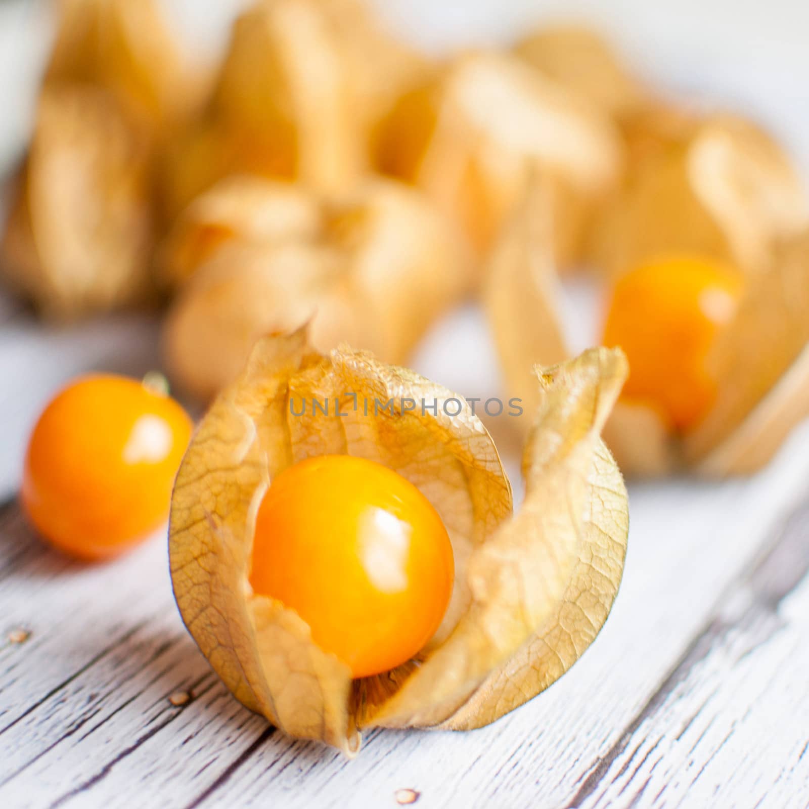 physalis by Dessie_bg