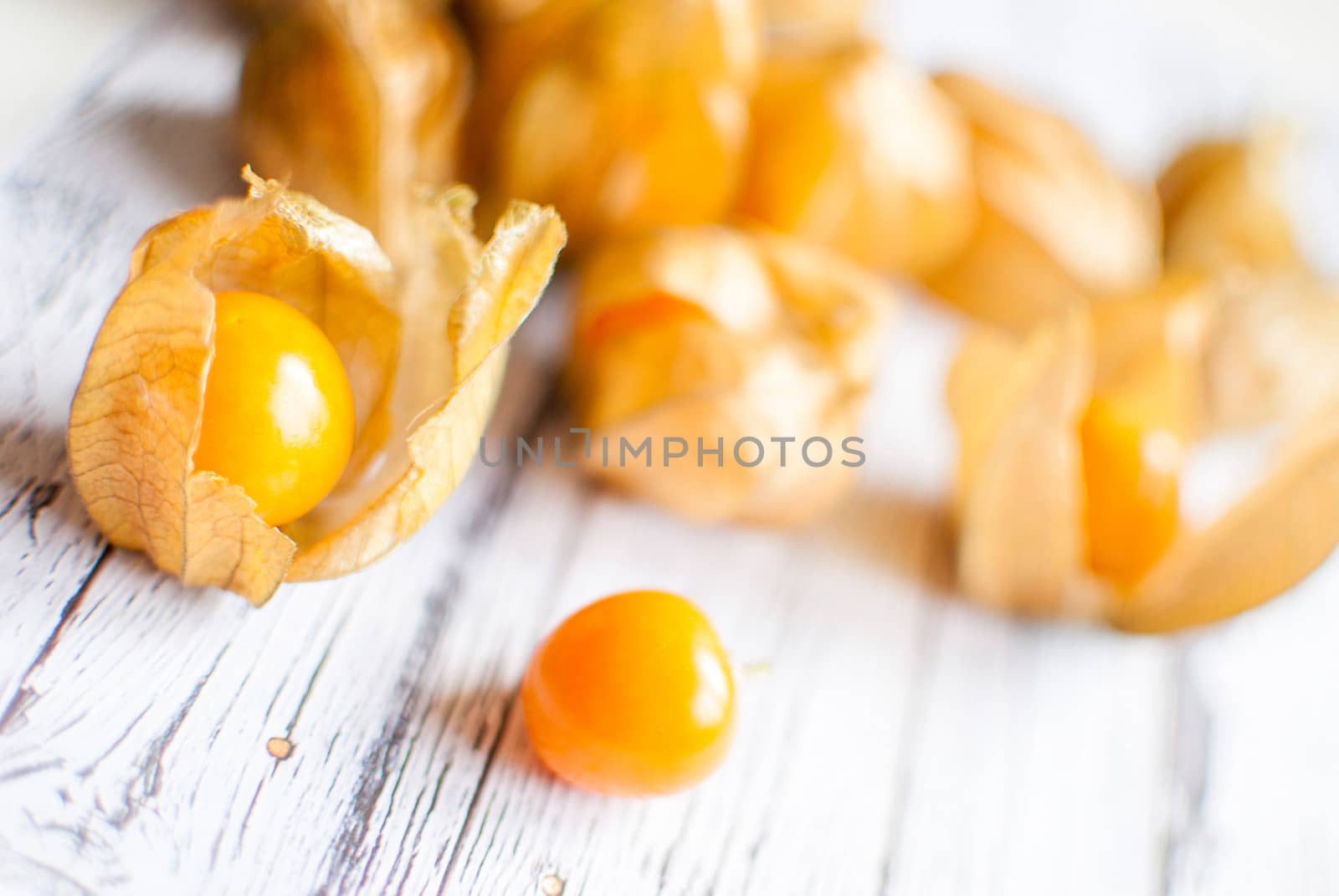 physalis by Dessie_bg