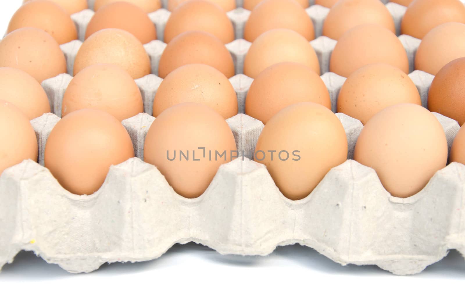 Putting together the eggs on a white background