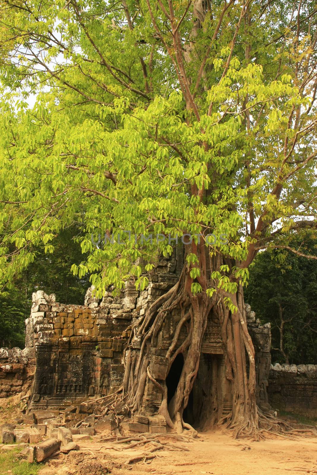 Ta Som temple, Angkor area, Siem Reap, Cambodia