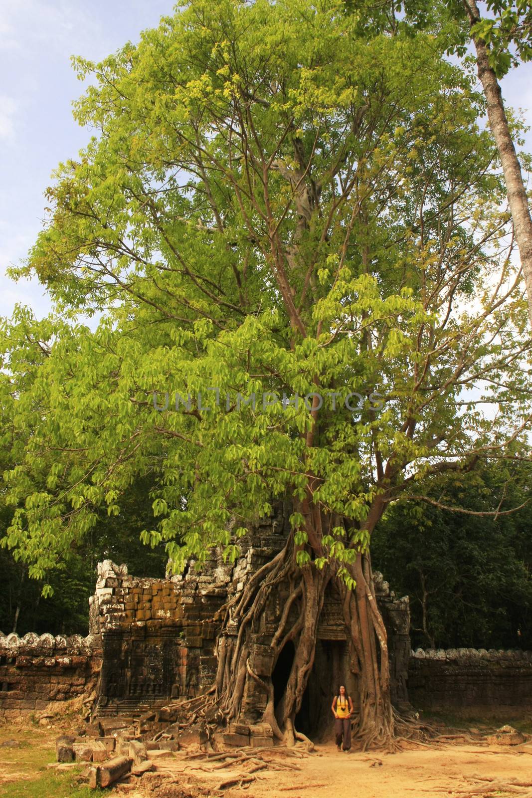 Ta Som temple, Angkor area, Siem Reap, Cambodia