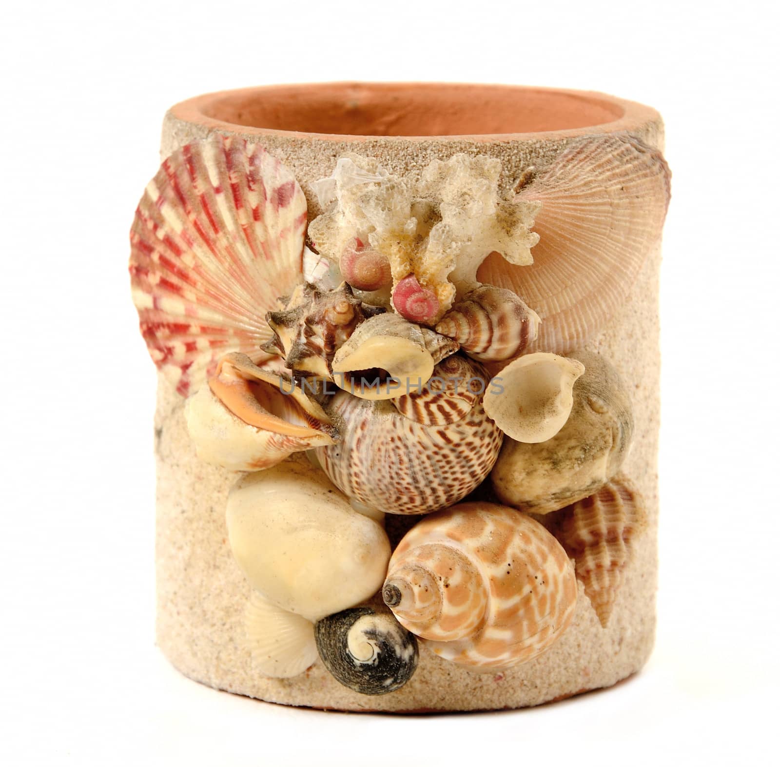 Vase with seashell decorate isolated on white background