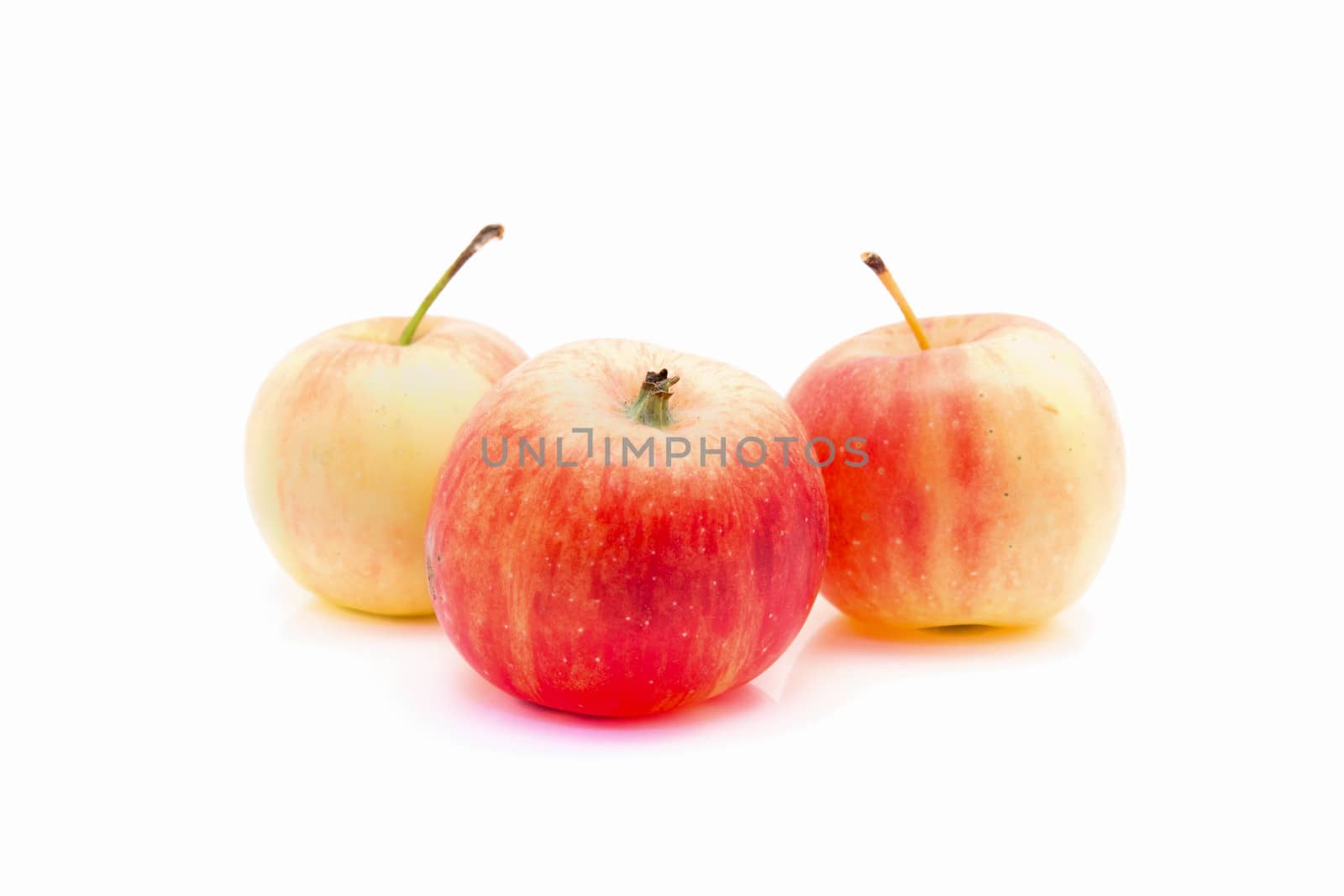 small red and yellow apples isolated by Sorapop