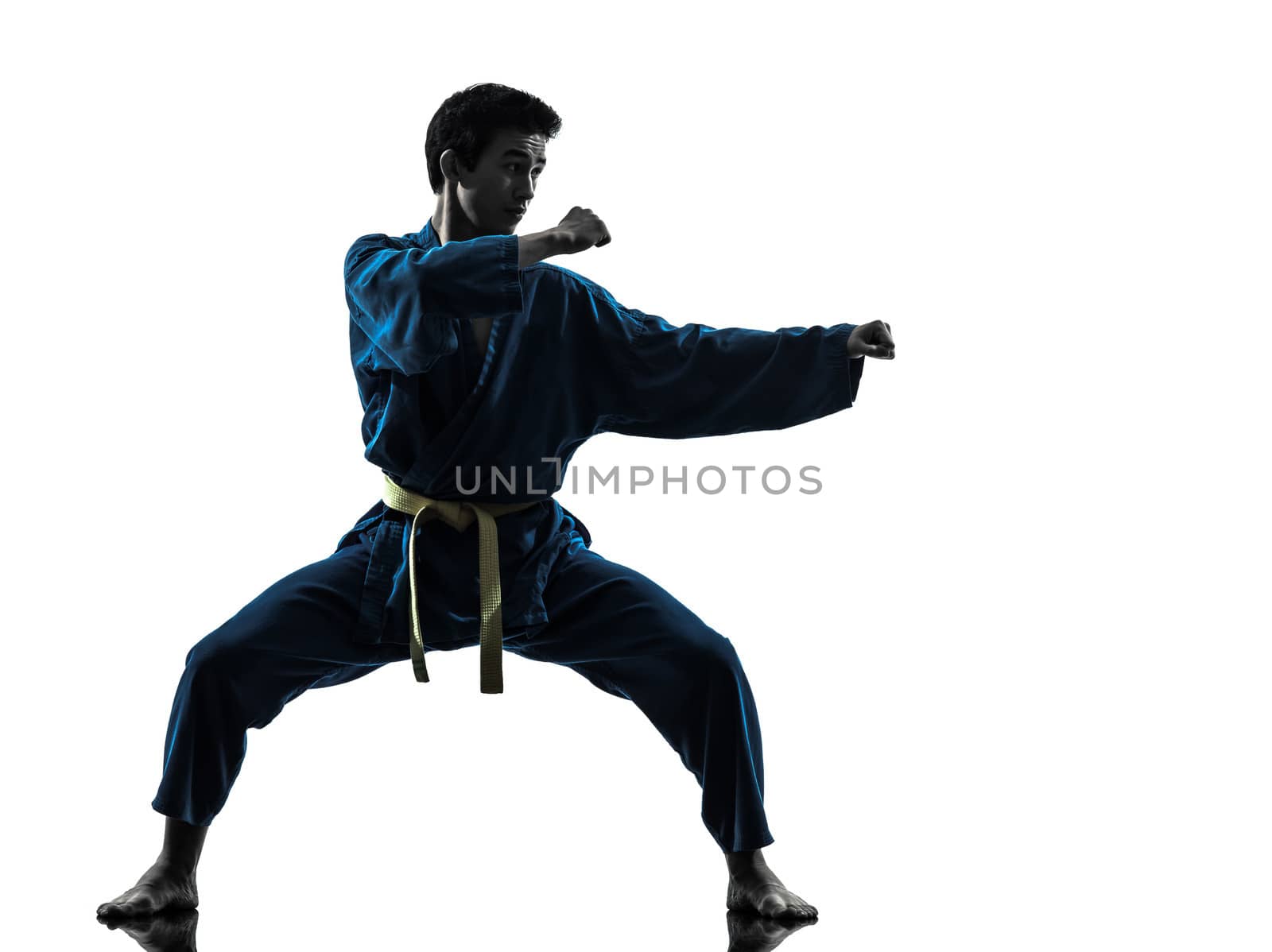 one asian young man exercising martial arts karate vietvodao in silhouette studio isolated on white background