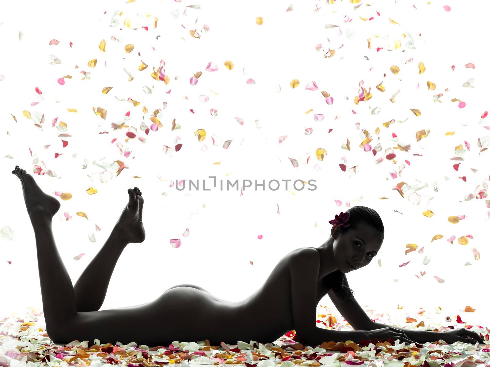 one beautiful asian woman naked lying with petal flowers in silhouette studio isolated on white background