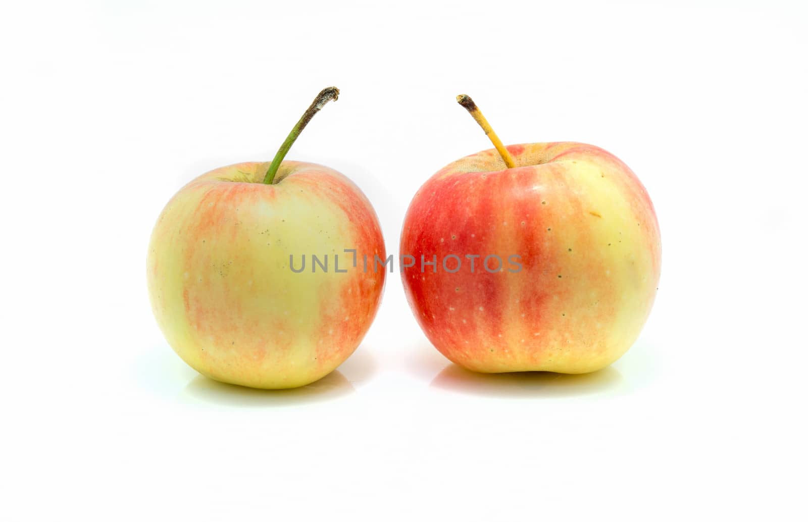 small red and yellow apples isolated by Sorapop