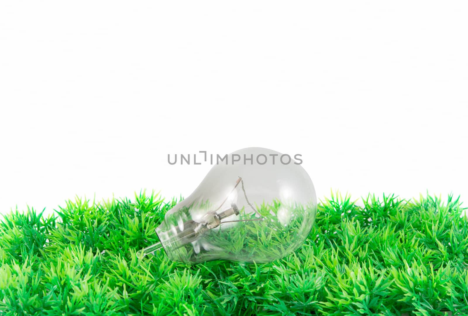light bulb on green grass on white background