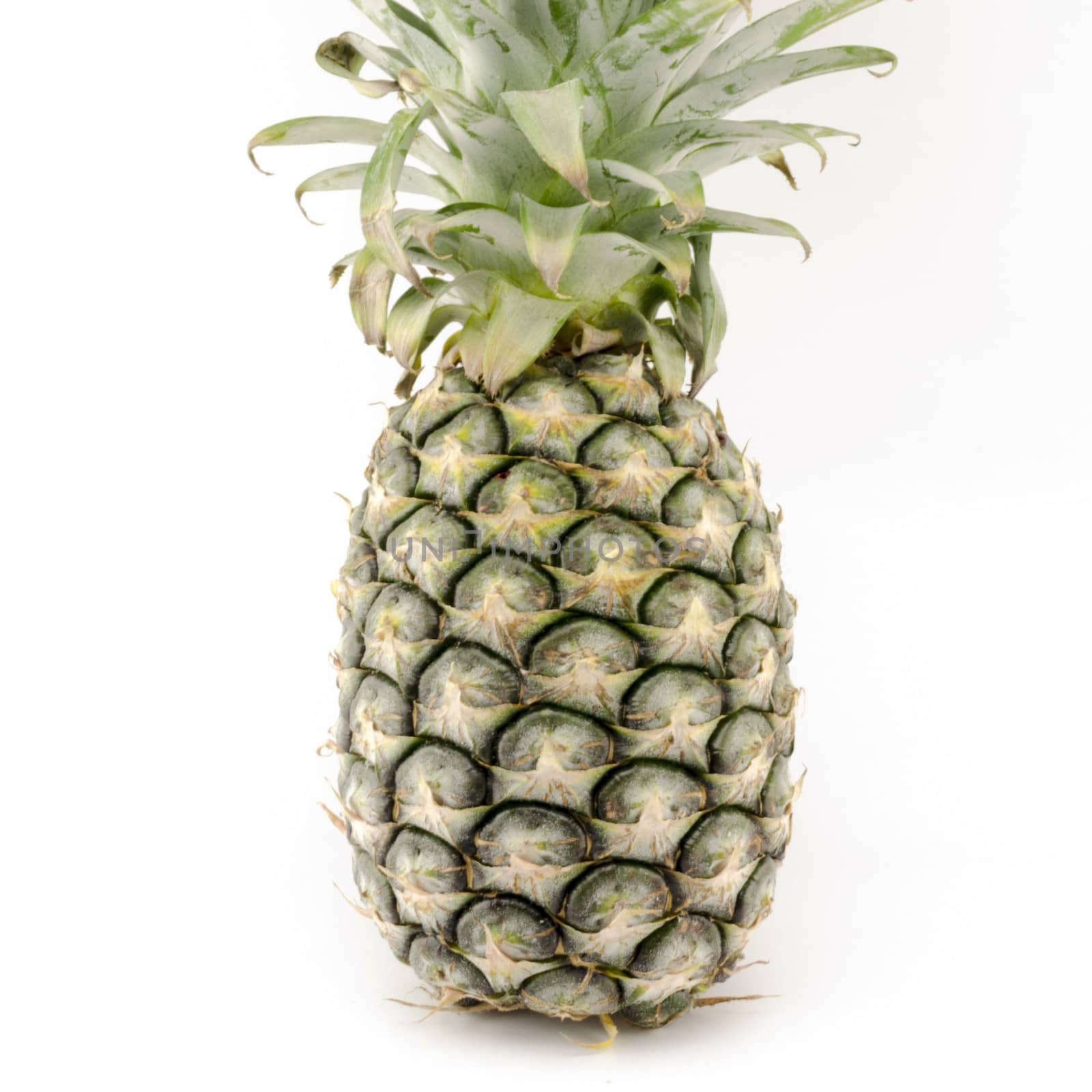 pineapple isolated on white background