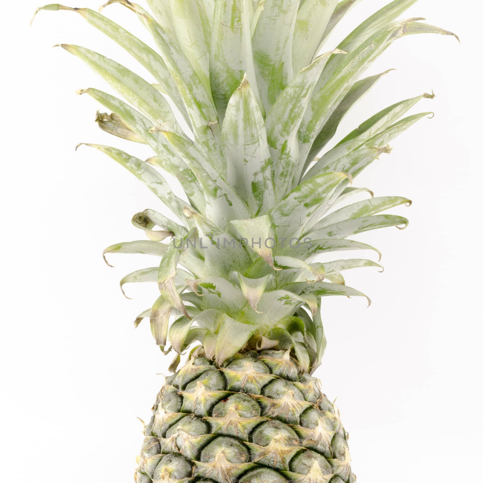 pineapple isolated on white background