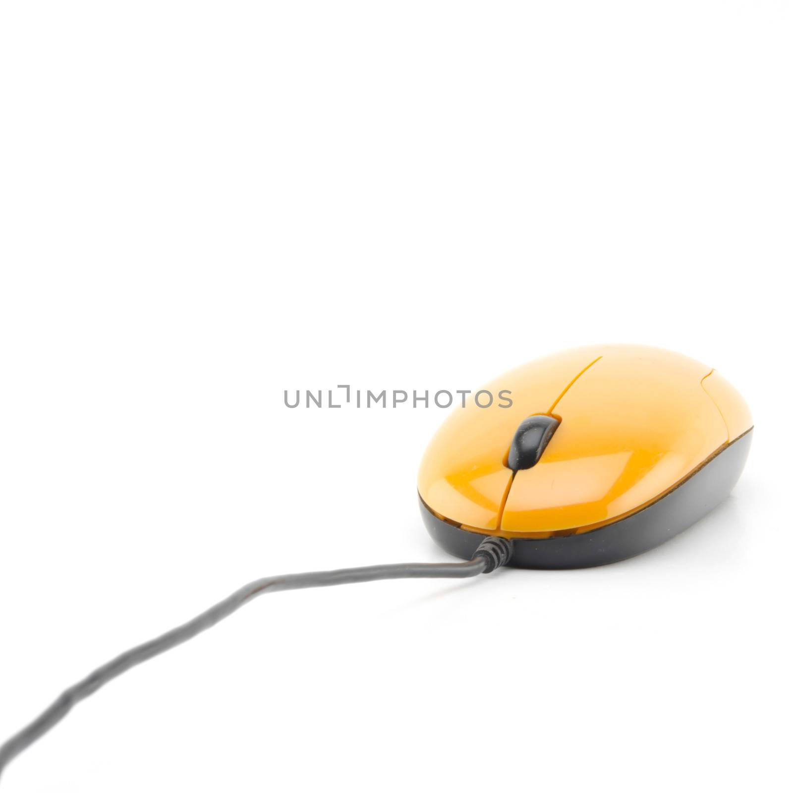 orange mouse isolated on white by ammza12
