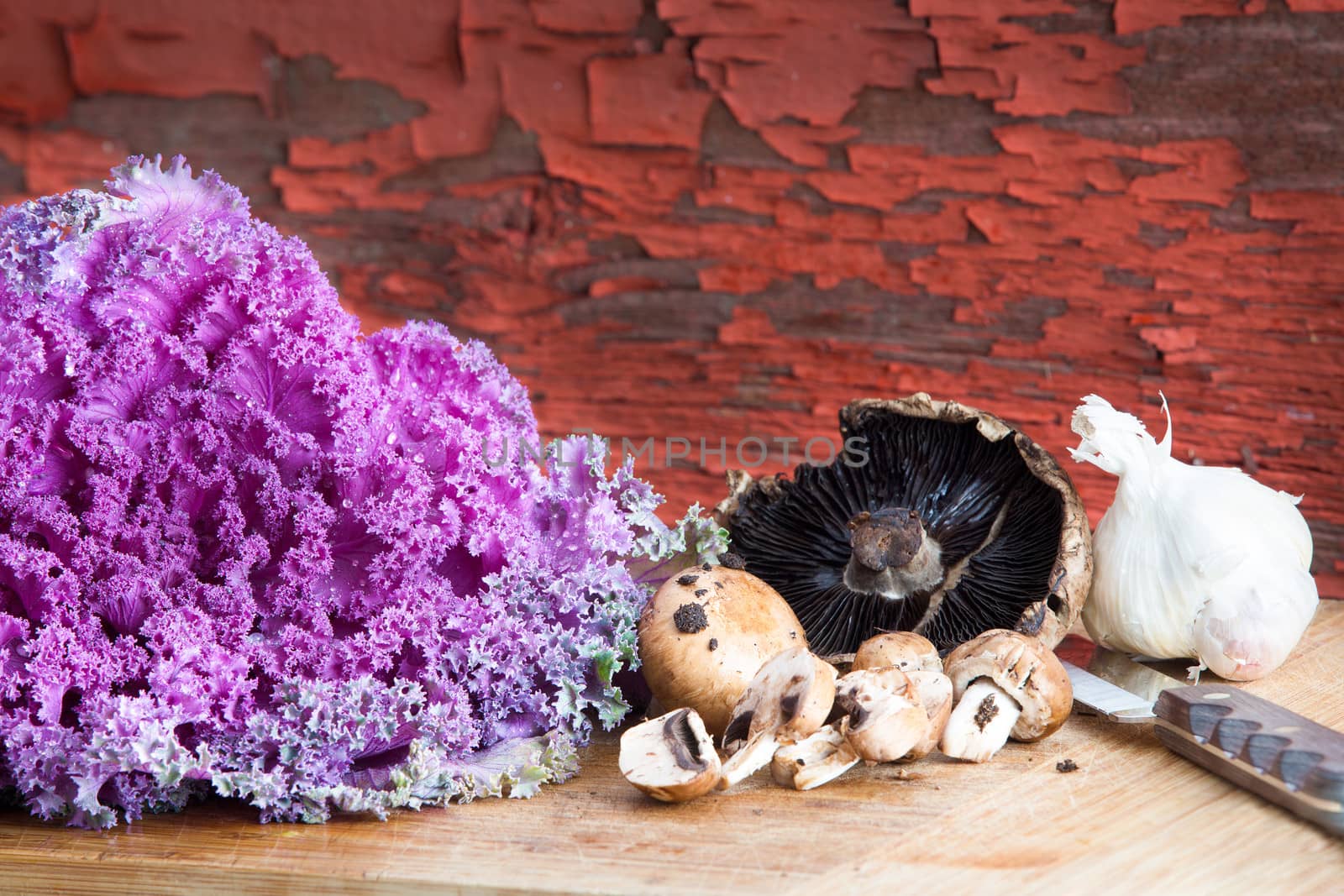 Kale, mushrooms and garlic in a rustic kitchen by coskun