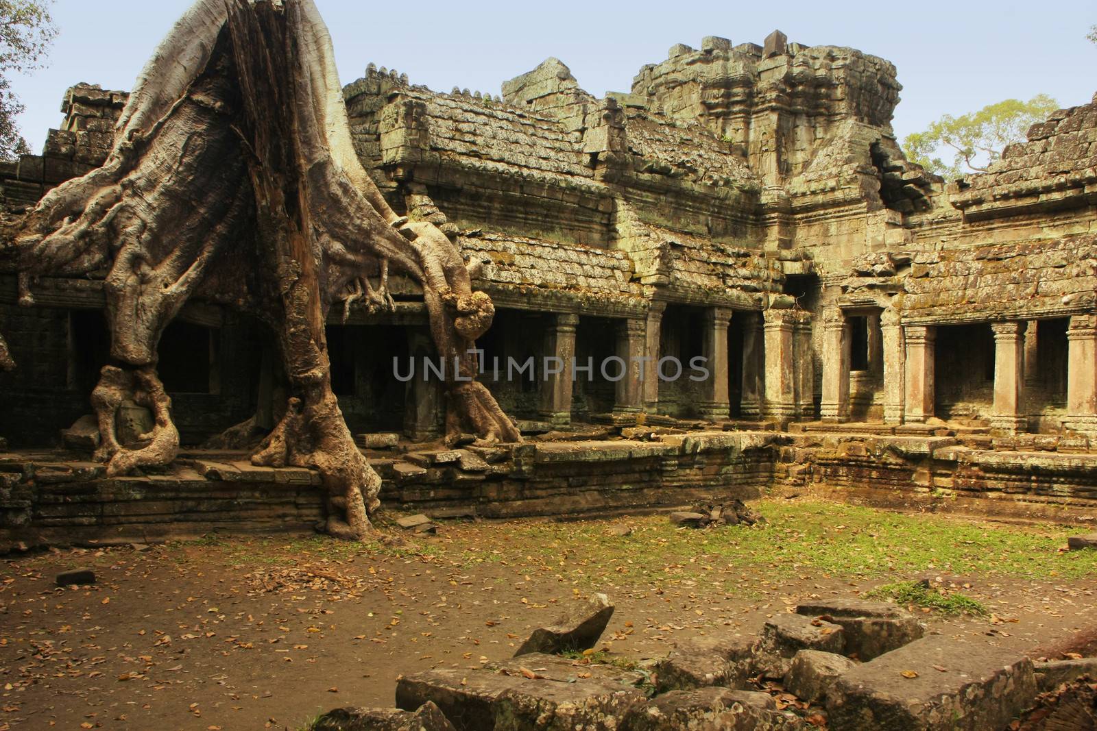 Preah Khan temple, Angkor area, Siem Reap, Cambodia by donya_nedomam