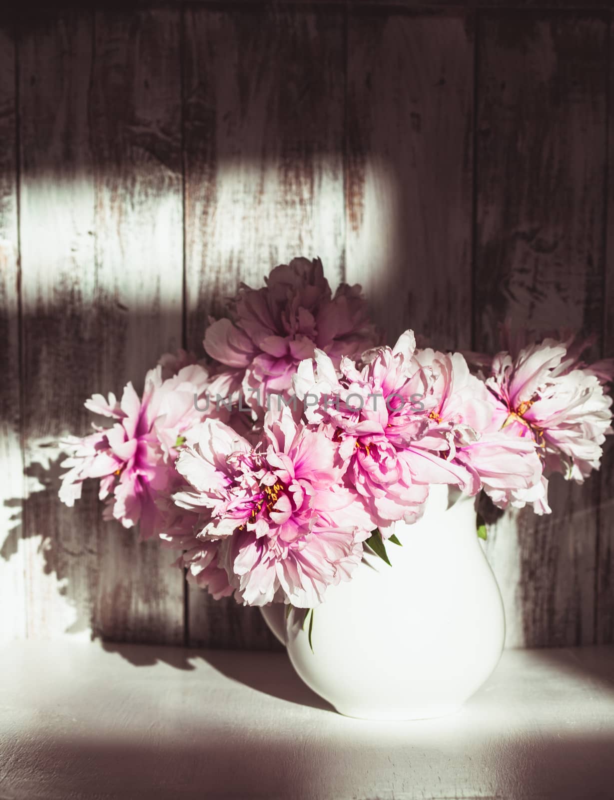 Still life with peonies over shabby wooden wall with sunlight from window