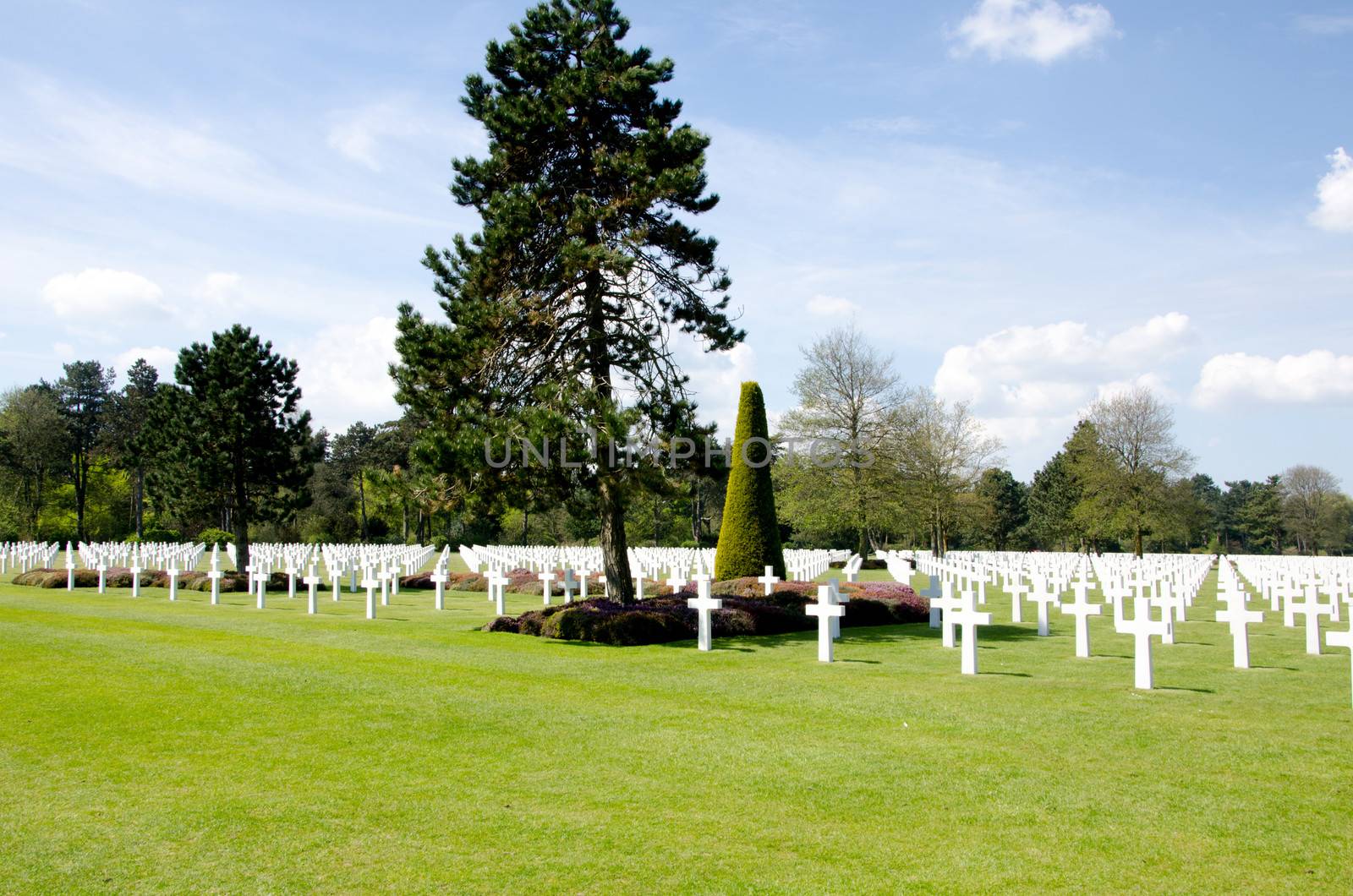 Normandy cemetery by lauria