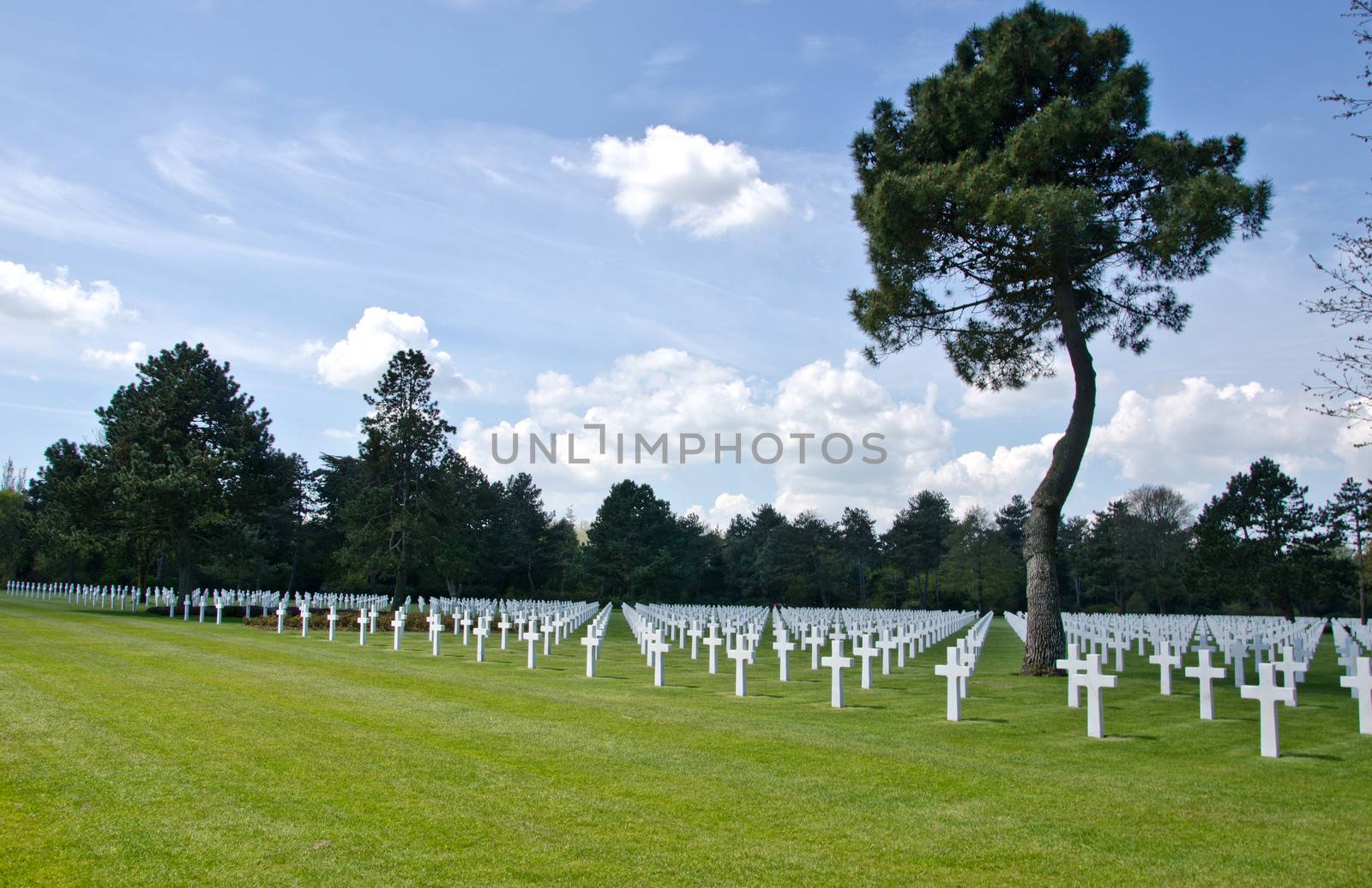 Normandy cemetery by lauria