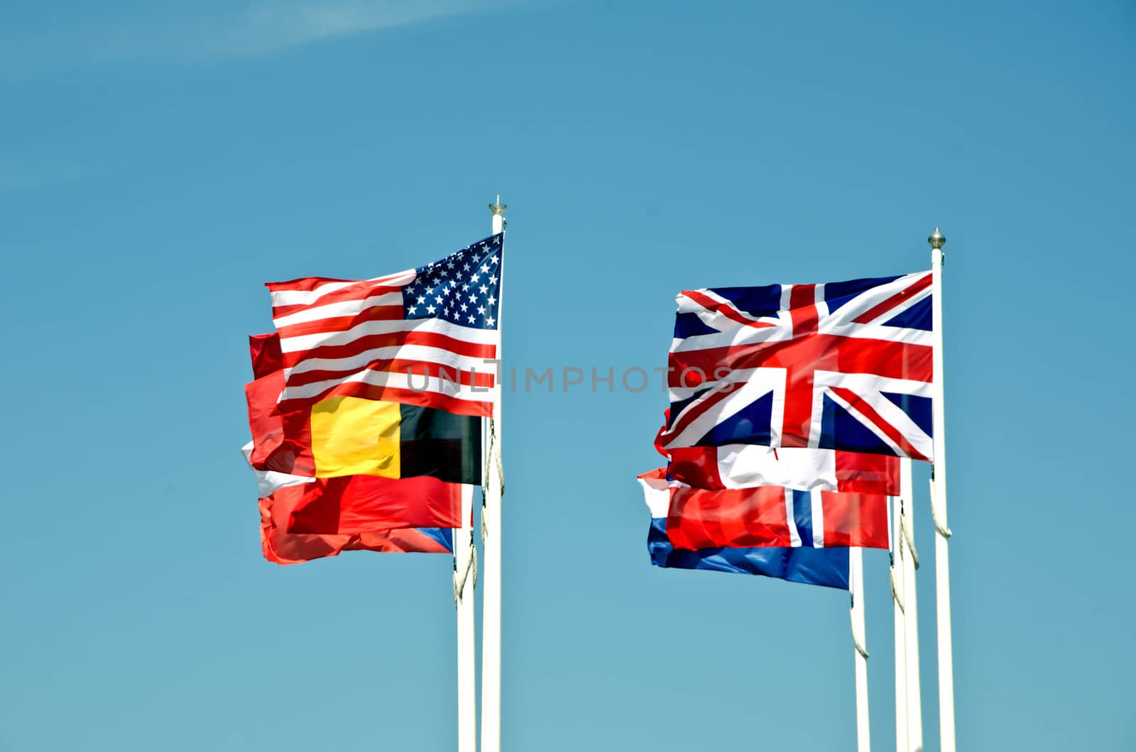 Flags of the world by lauria