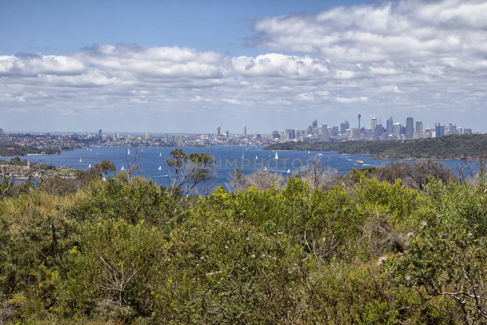 Sydney and harbour from North Point