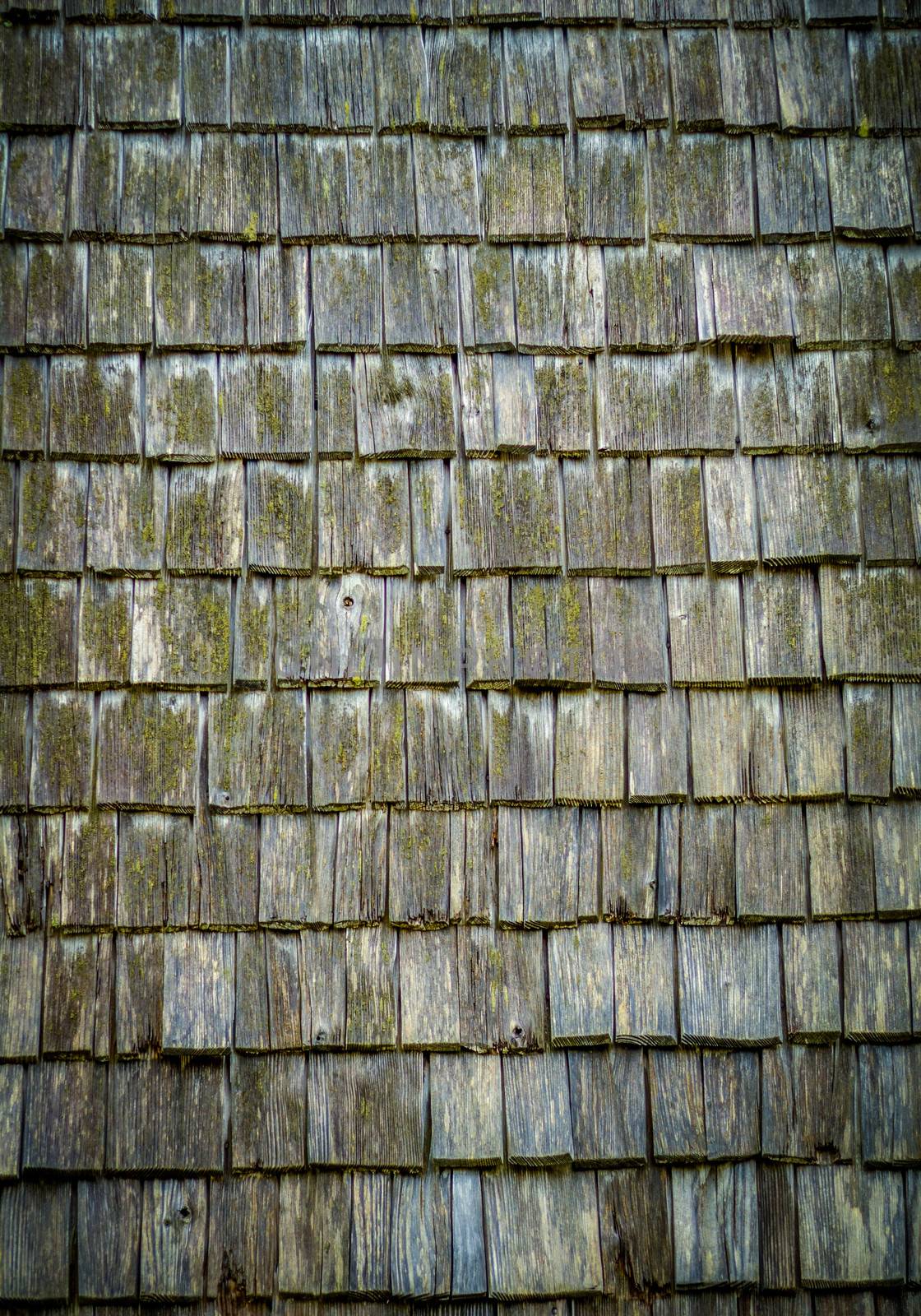 Roof Shingles Texture by mrdoomits