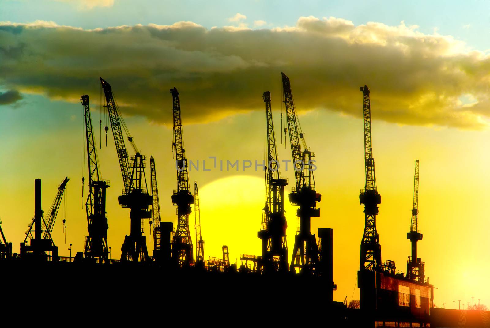 Hamburg harbor cranes in sunset