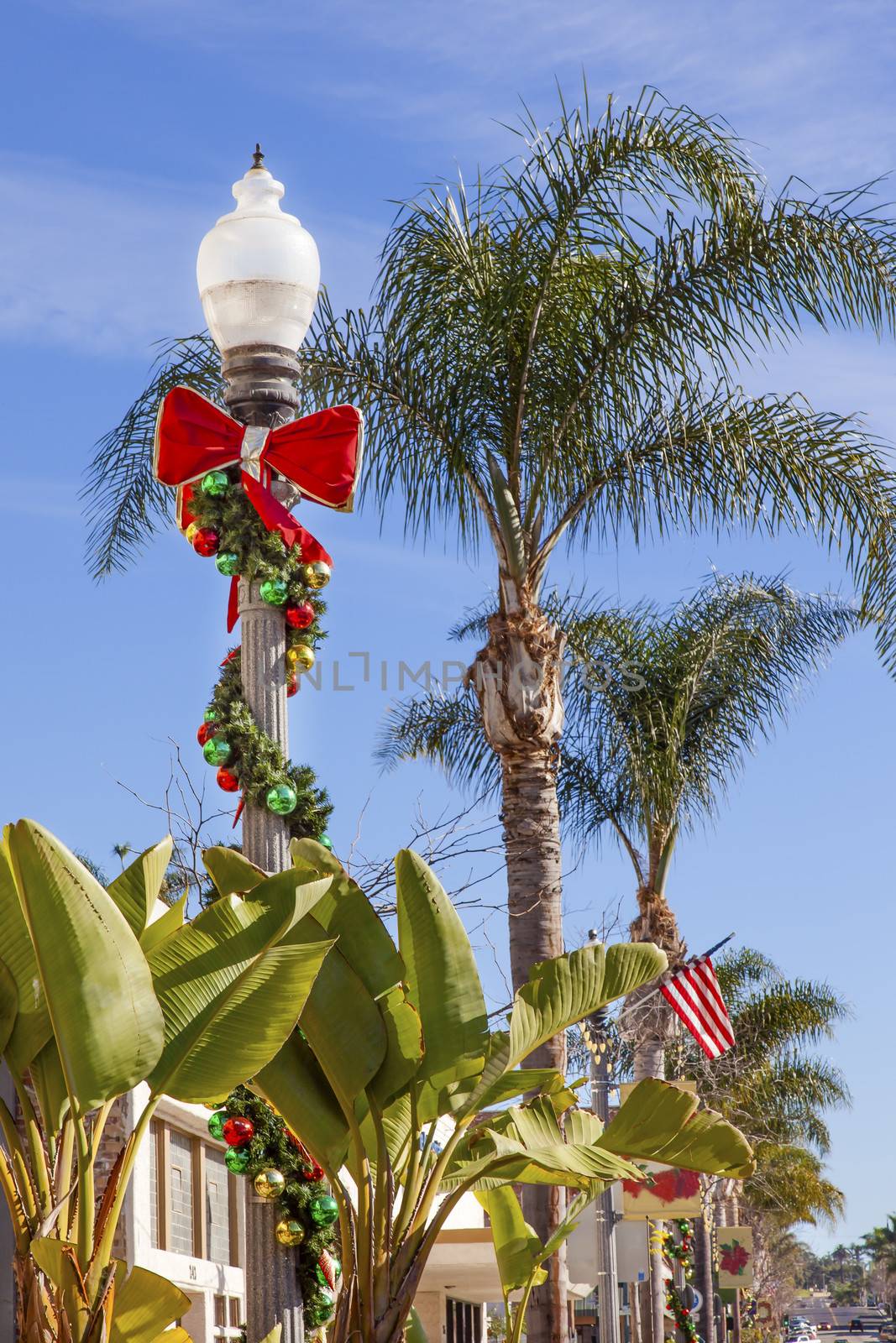 Christmas Lantern Street Light Decorations Banana Trees, Palm Trees, Holiday Time Ventura California.