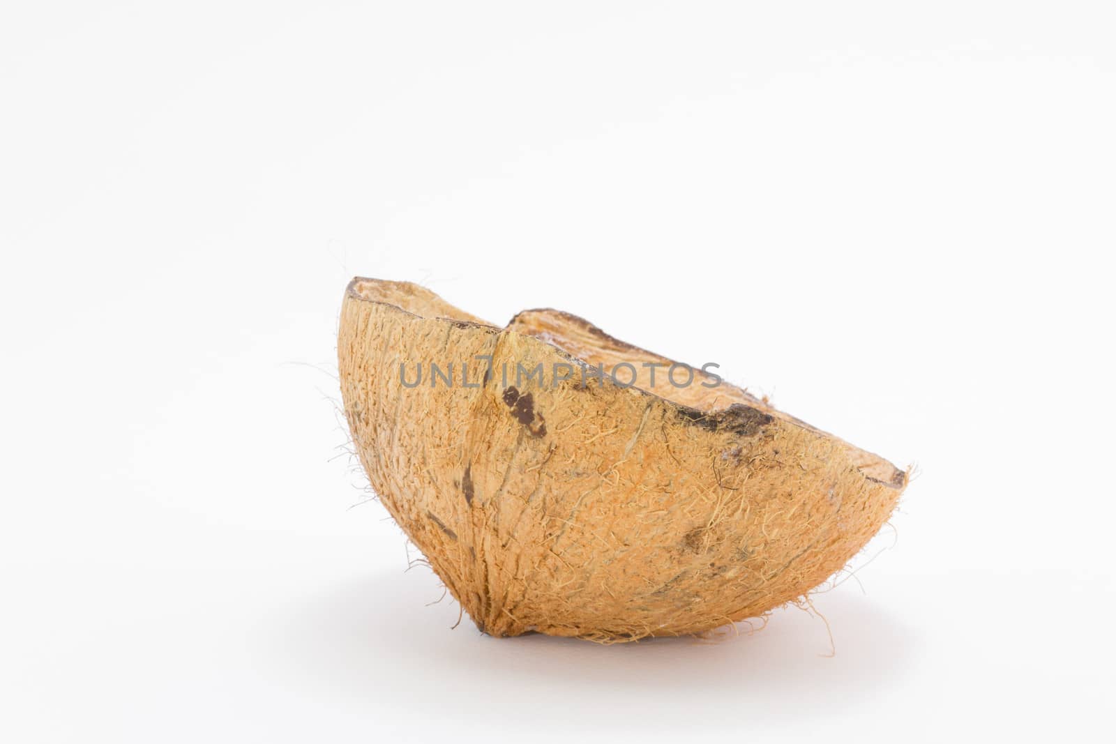 coconut shell  by a3701027