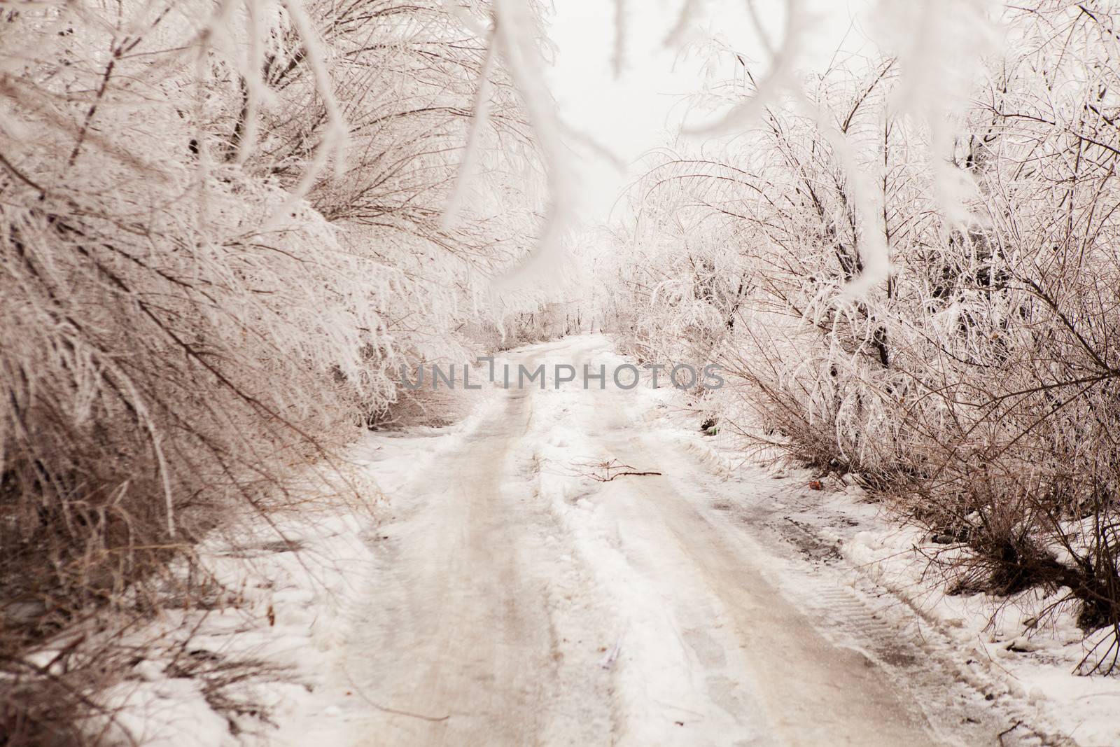 winter road toned in sepia 