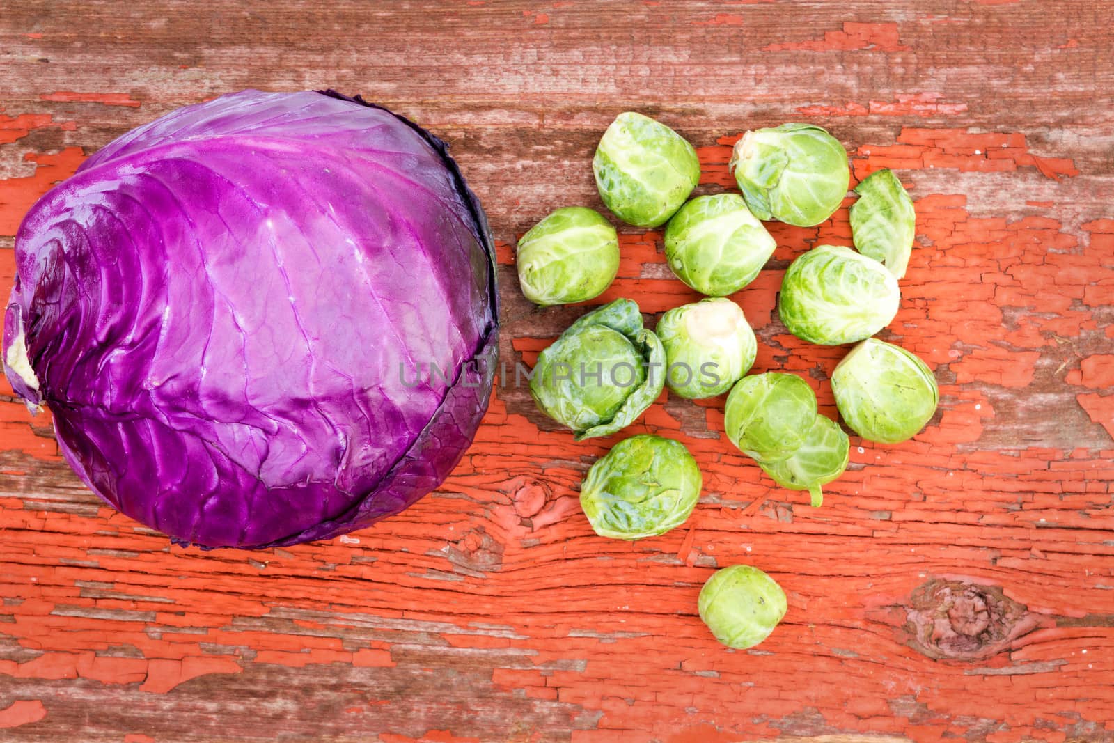 Overhead view of healthy fresh cleaned purple radicchio and brussels sprouts, both cruciferous plants of the Brassica family, on a rustic grunge wooden board