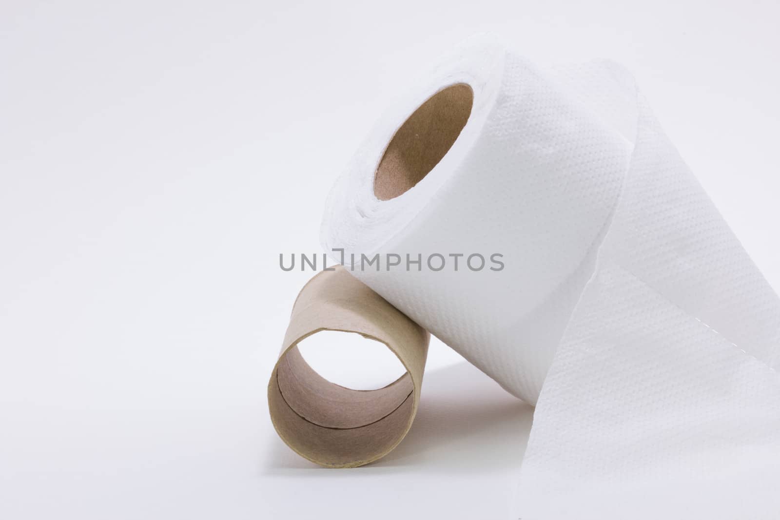toilet paper roll  by a3701027