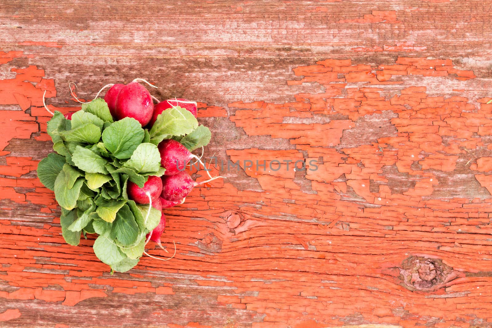 Bunch of fresh radishes and leaves by coskun