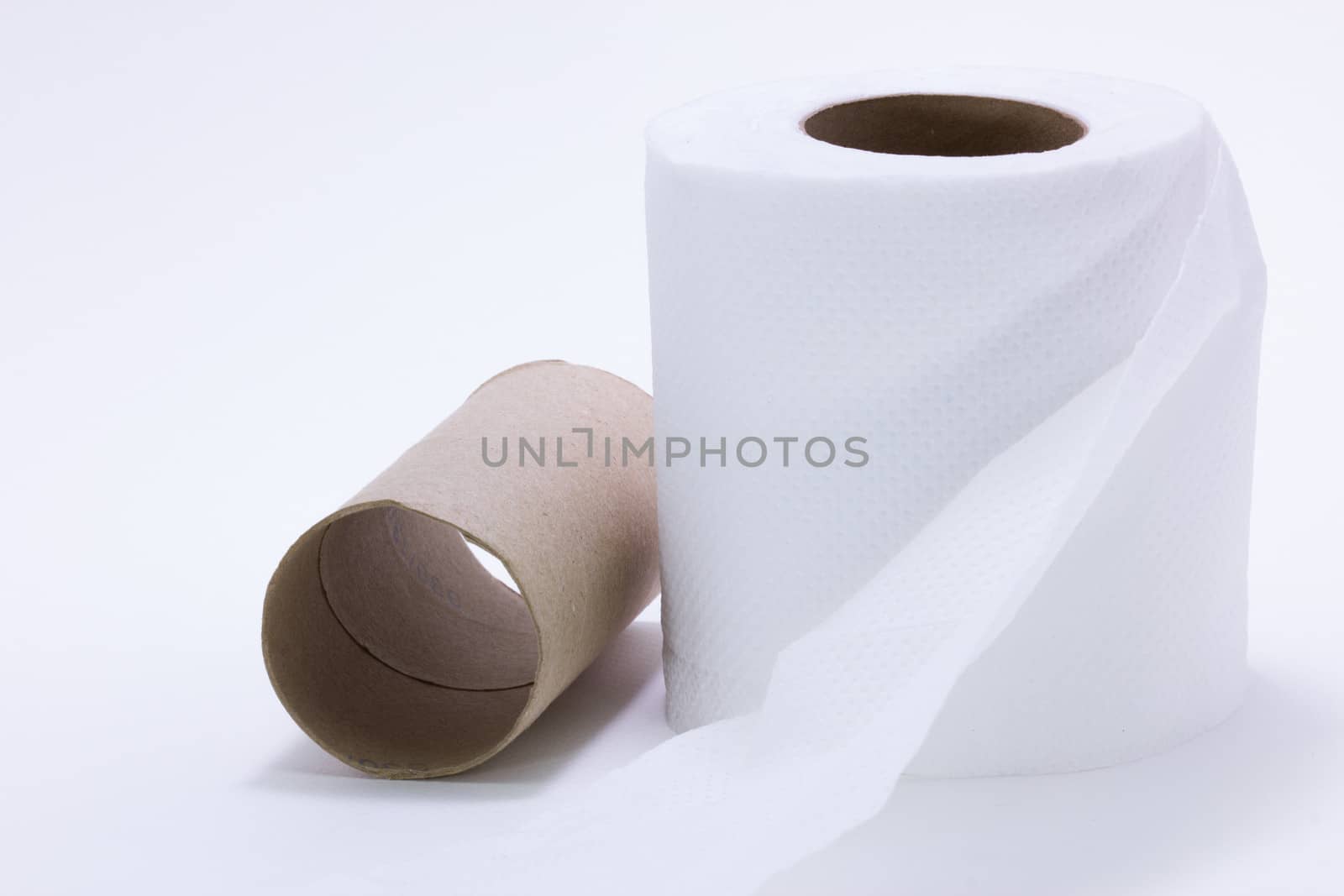 toilet paper roll with its center.