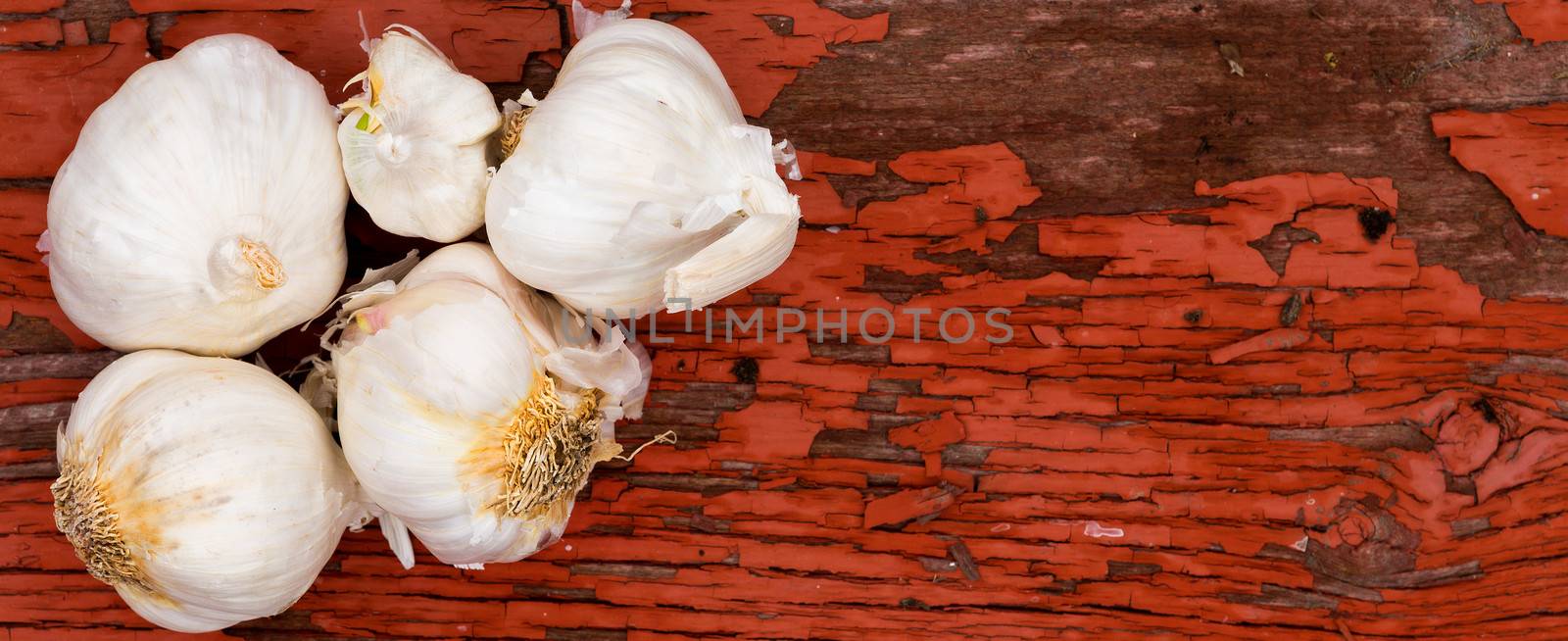 Fresh whole cloves of farm fresh garlic in a wide banner format lying on a grungy wooden rustic board with cracked peeling red paint and plenty of copyspace