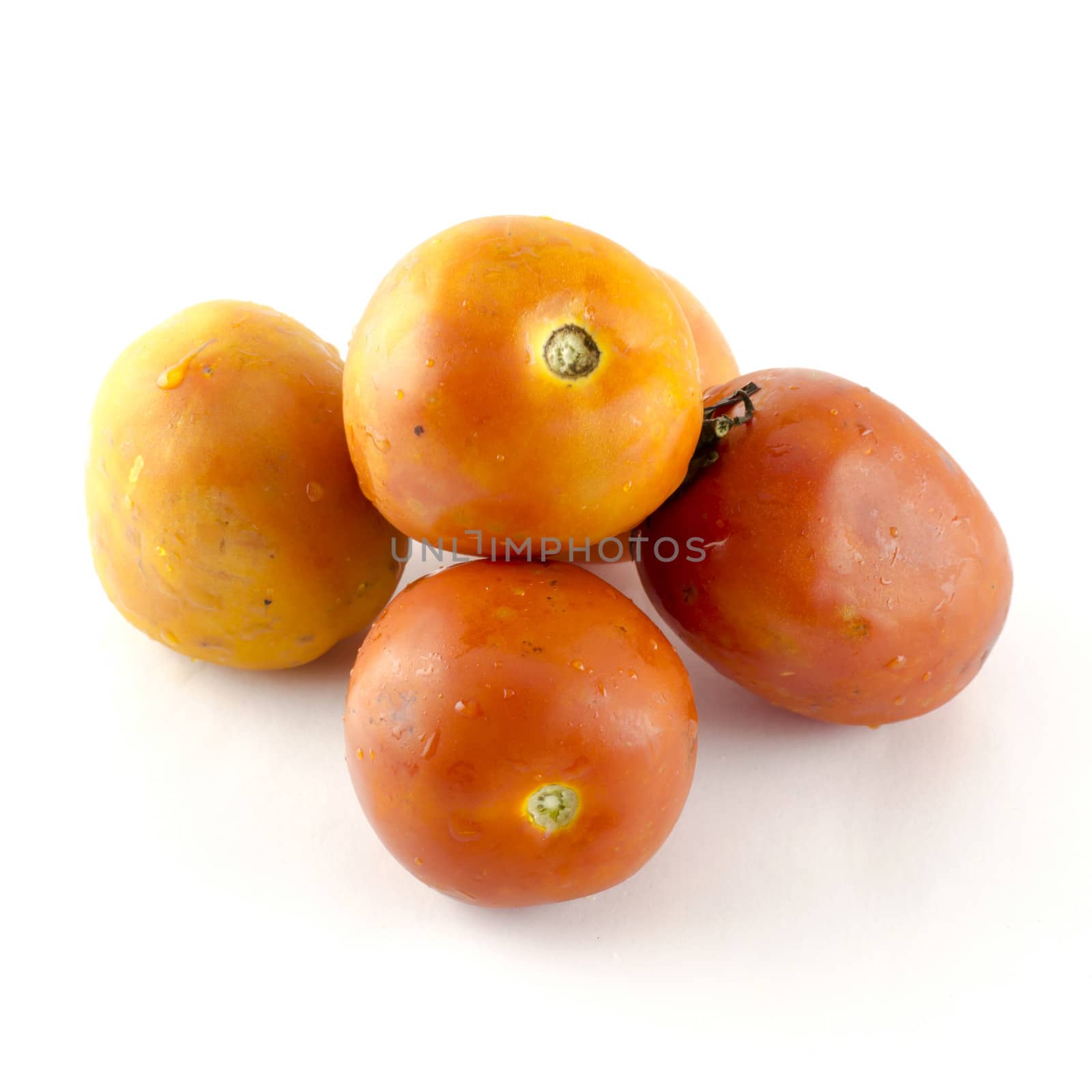 ugly tomato isolated on white background by ammza12