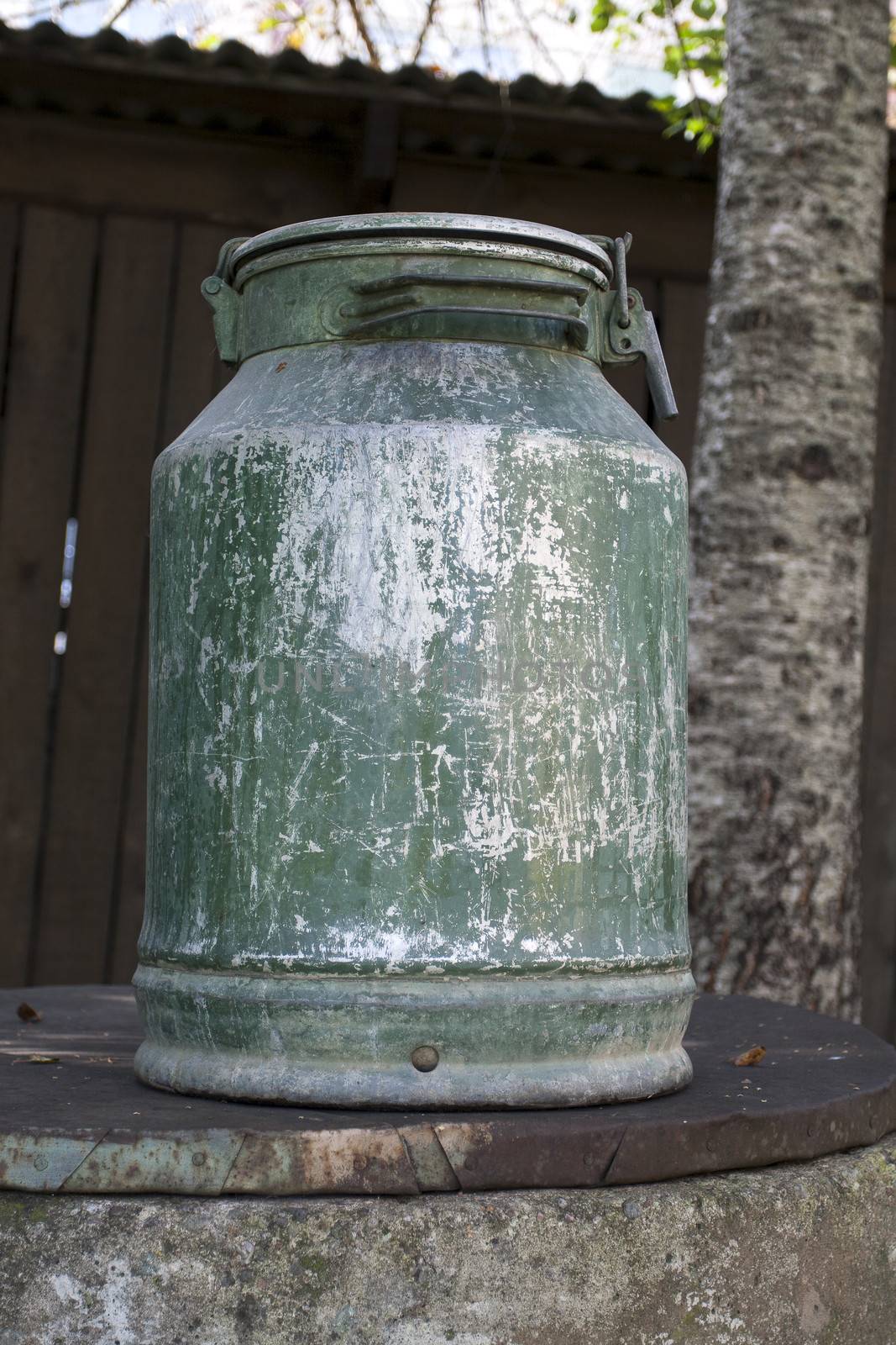 Old metal milk can by ints