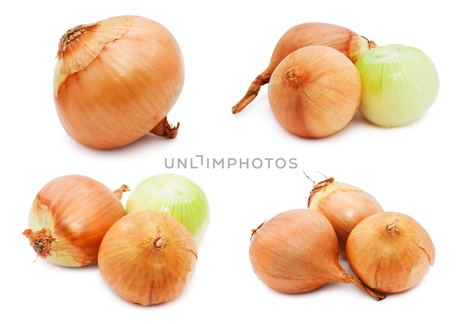 Collection of fresh golden onion isolated on white background