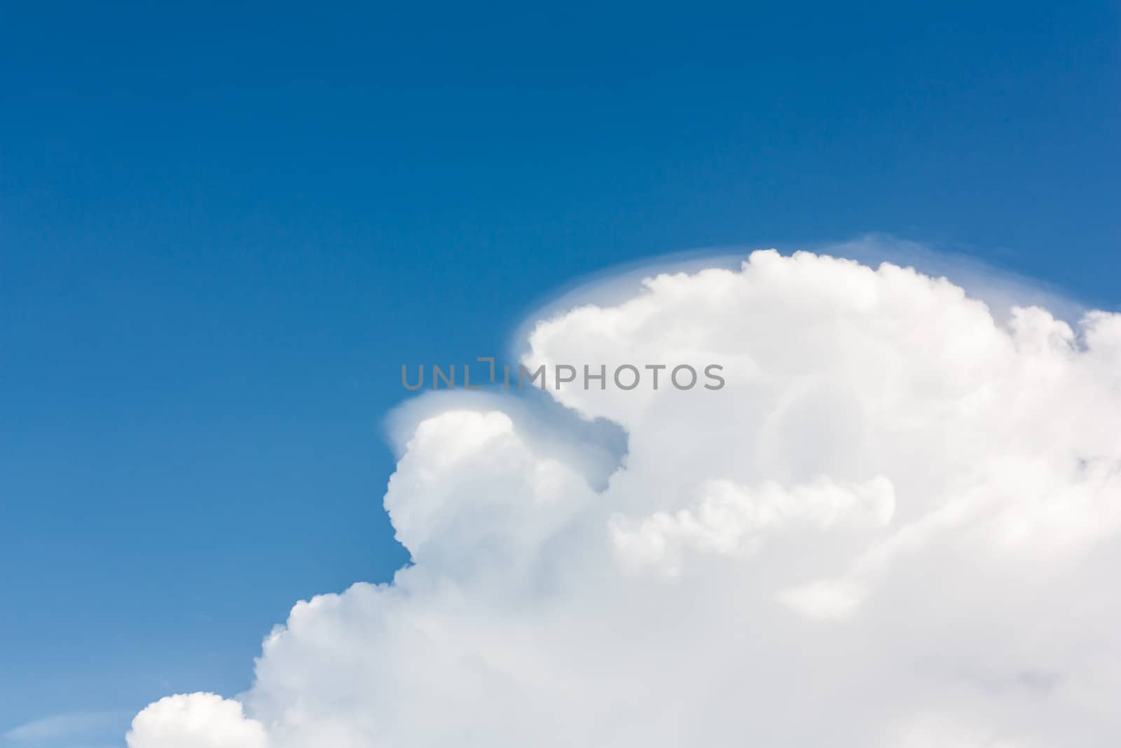 The white clouds background in blue sky