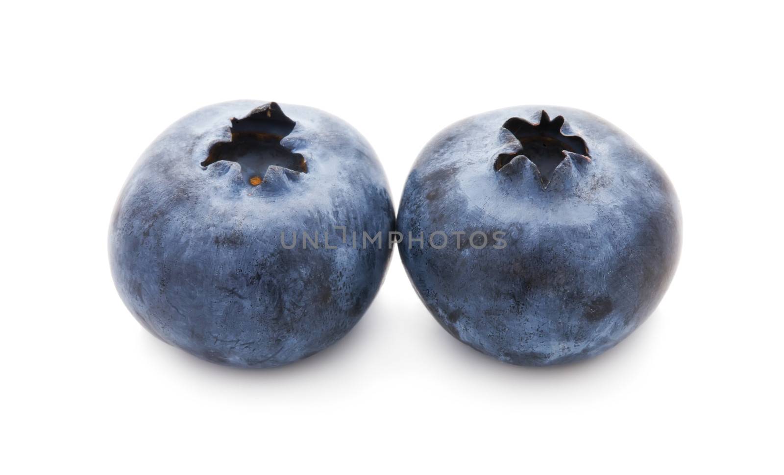 Fresh blueberry or bilberry  isolated on white background