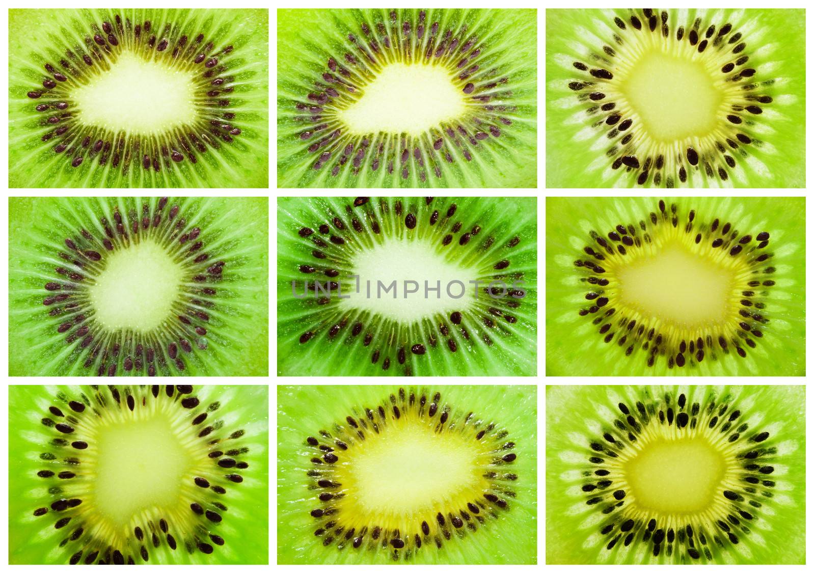 Collection of fresh juicy kiwi fruit backgrounds